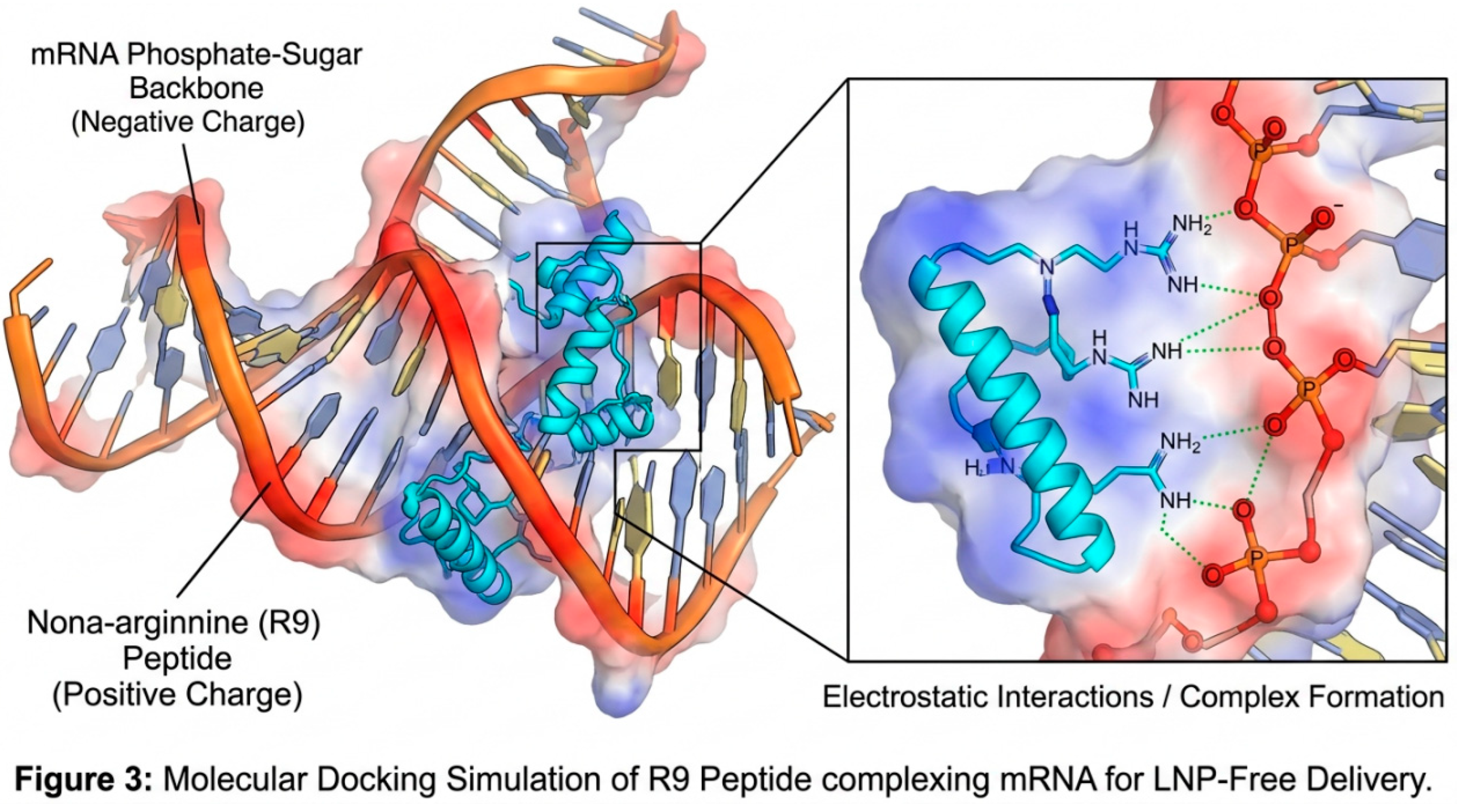 Preprints 210364 g003