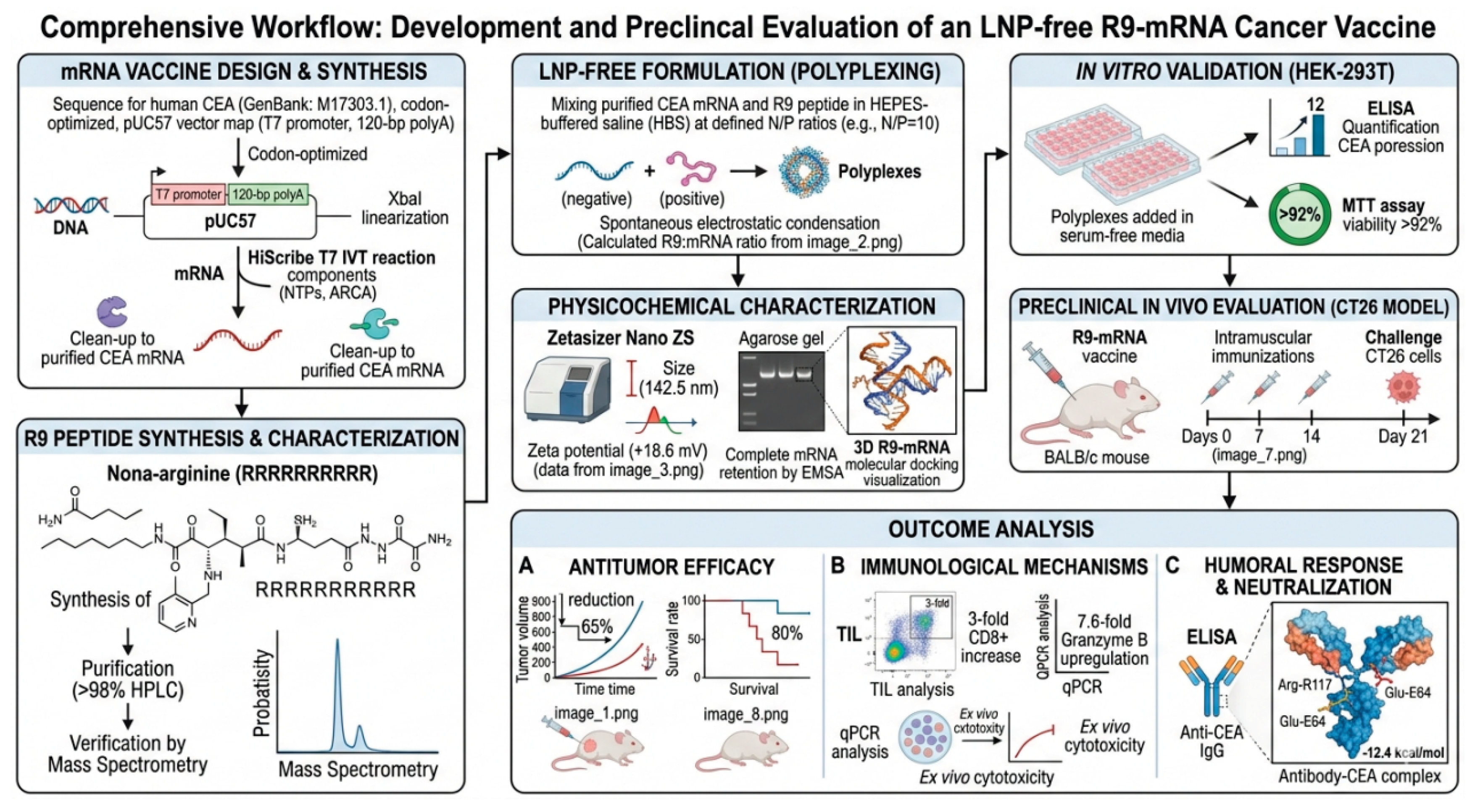 Preprints 210364 g005