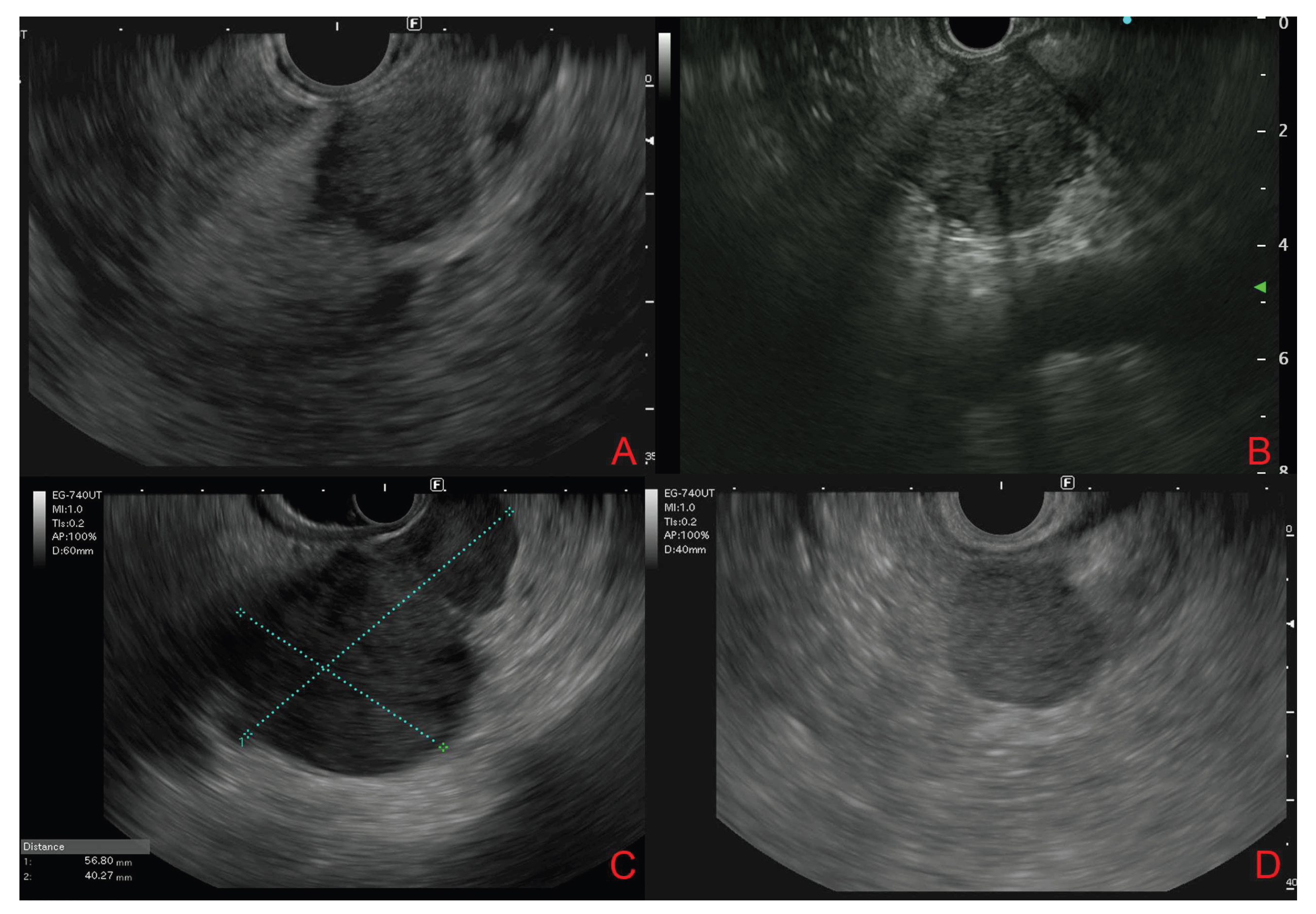 Preprints 187251 g001