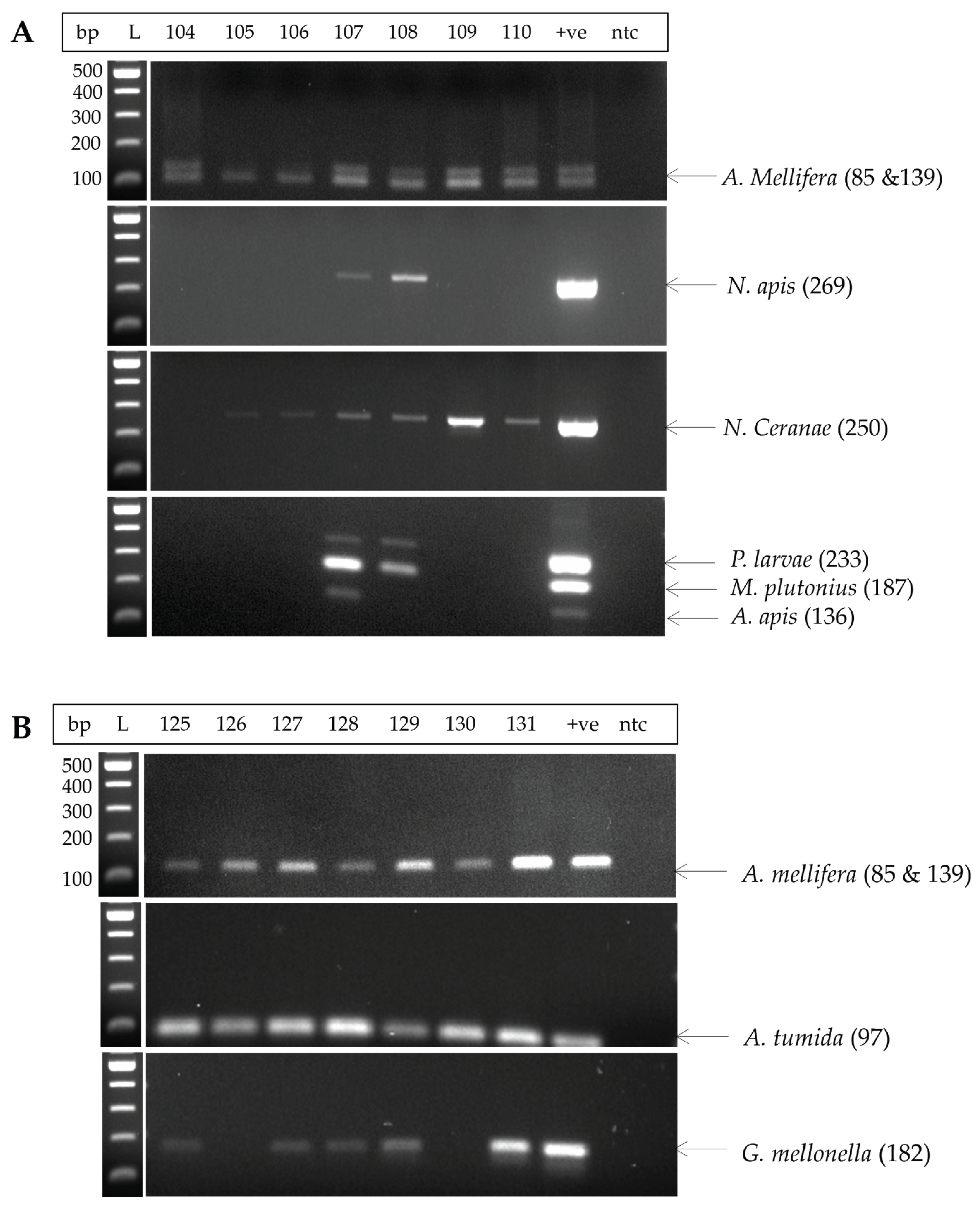 Preprints 160049 g001