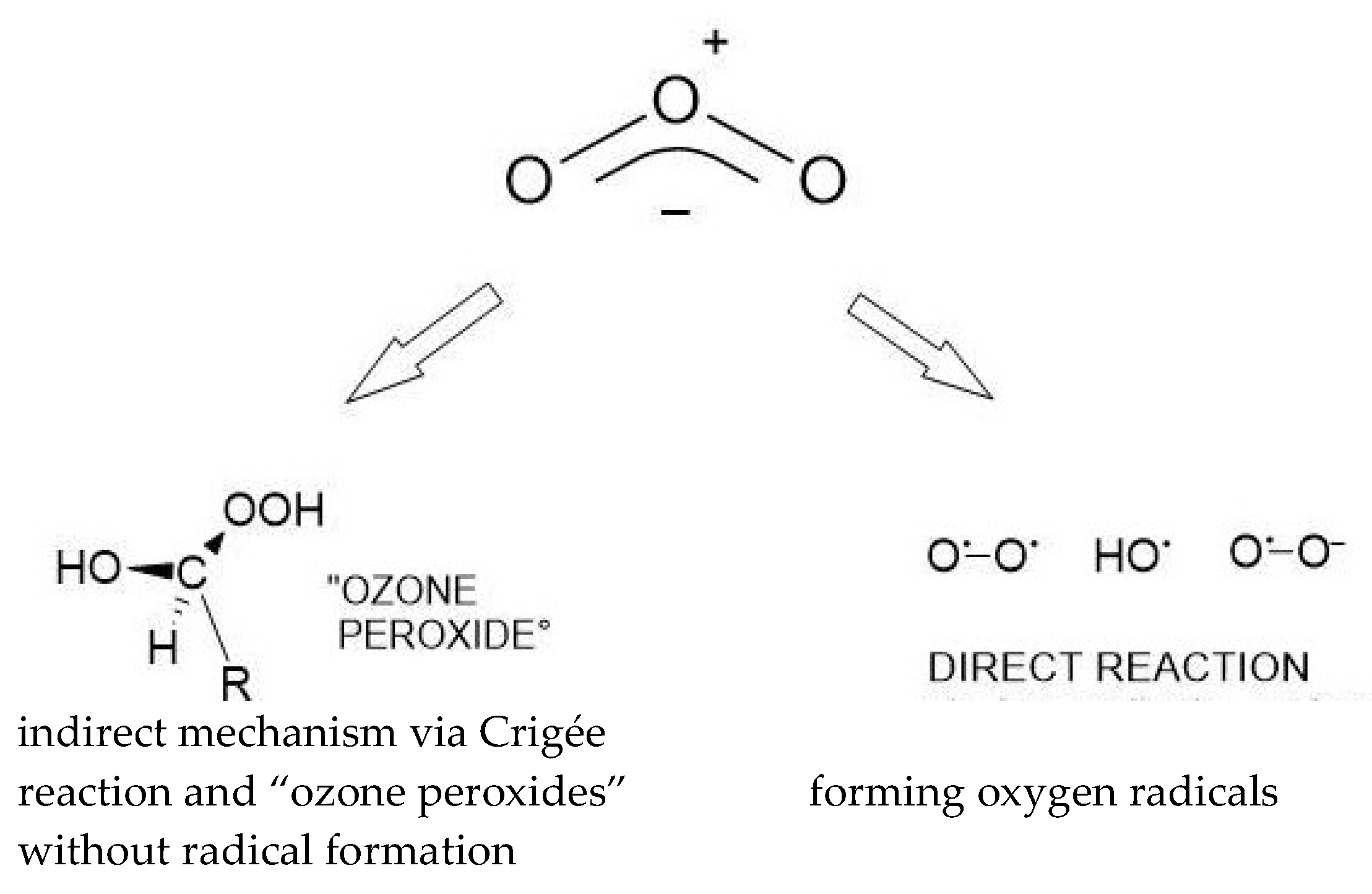 Preprints 195057 g002