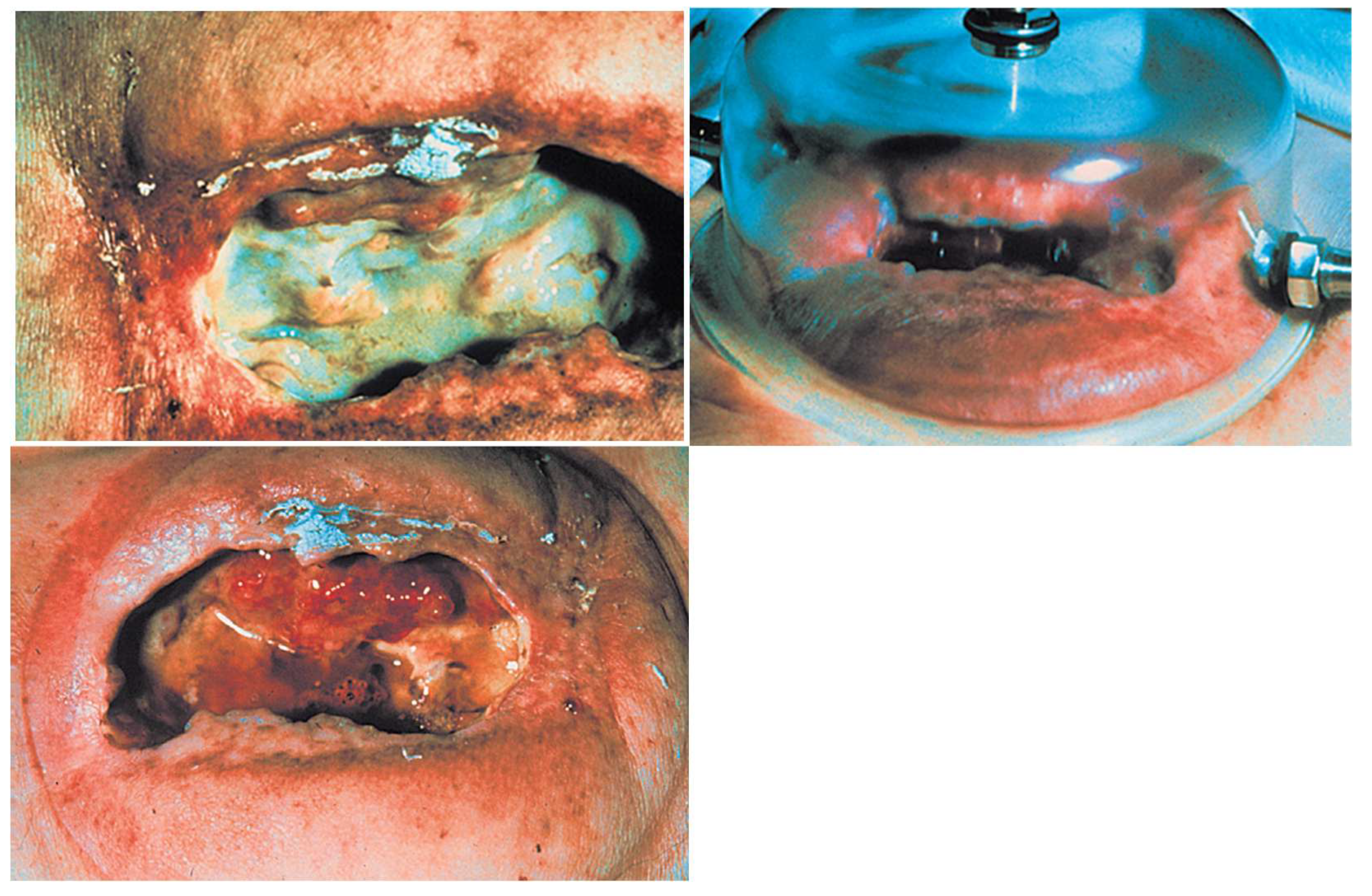 Preprints 195057 g004
