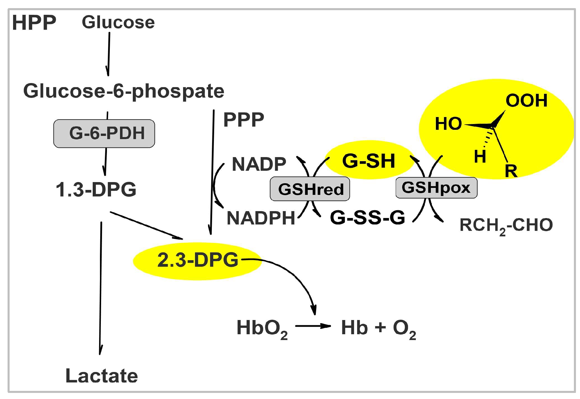 Preprints 195057 g005