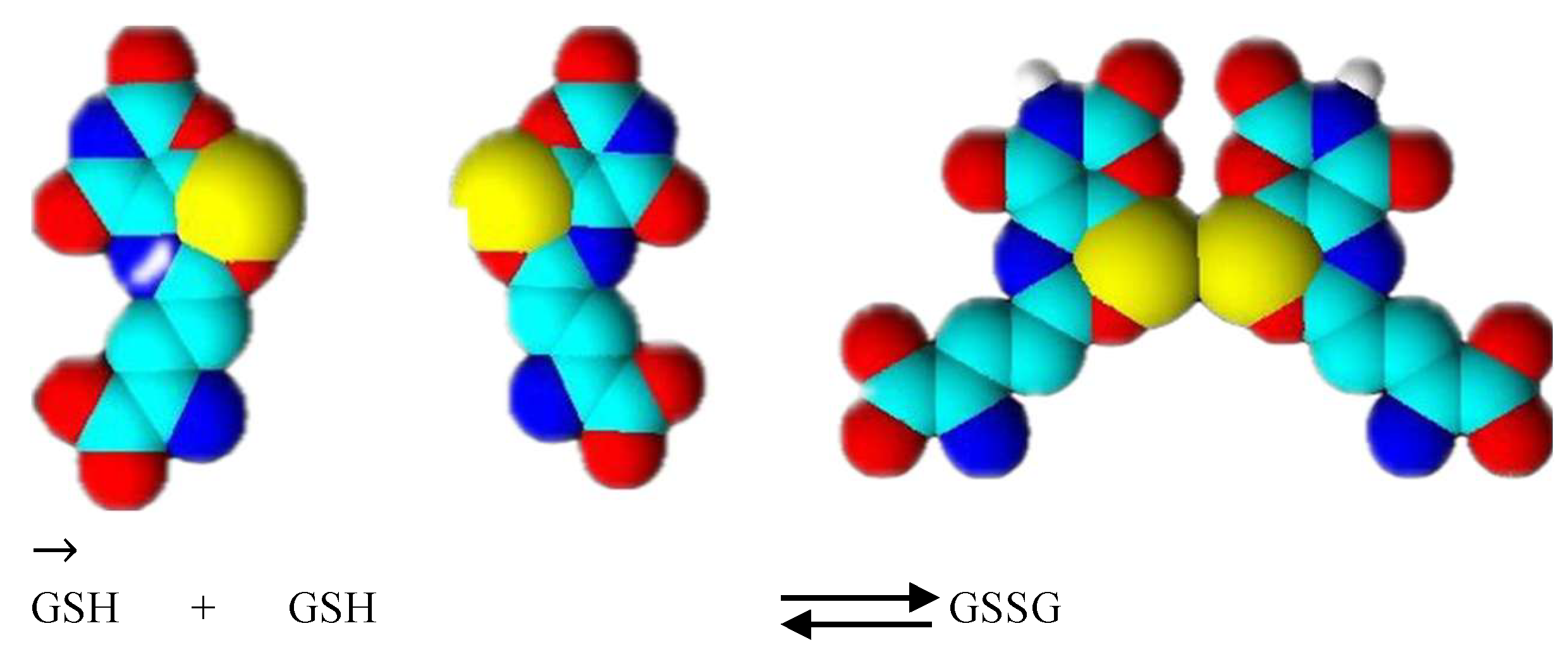 Preprints 195057 g007