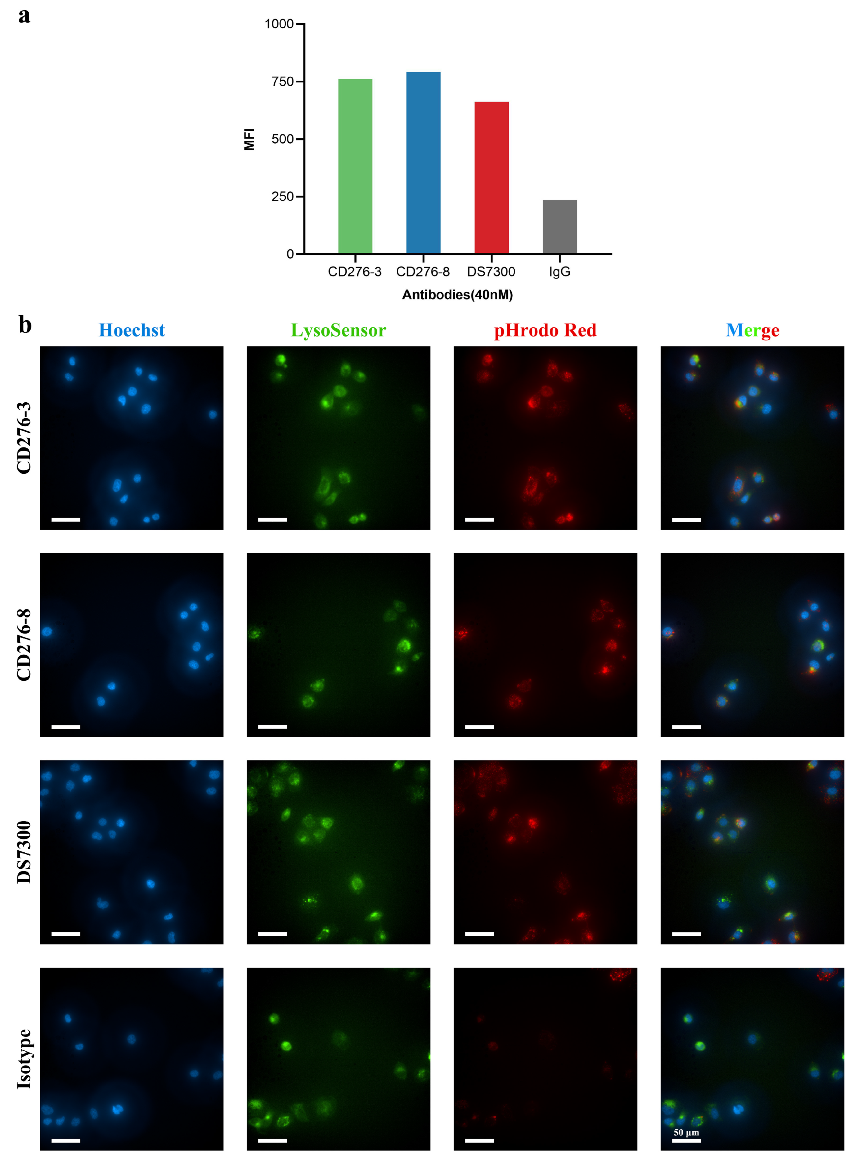 Preprints 198027 g002