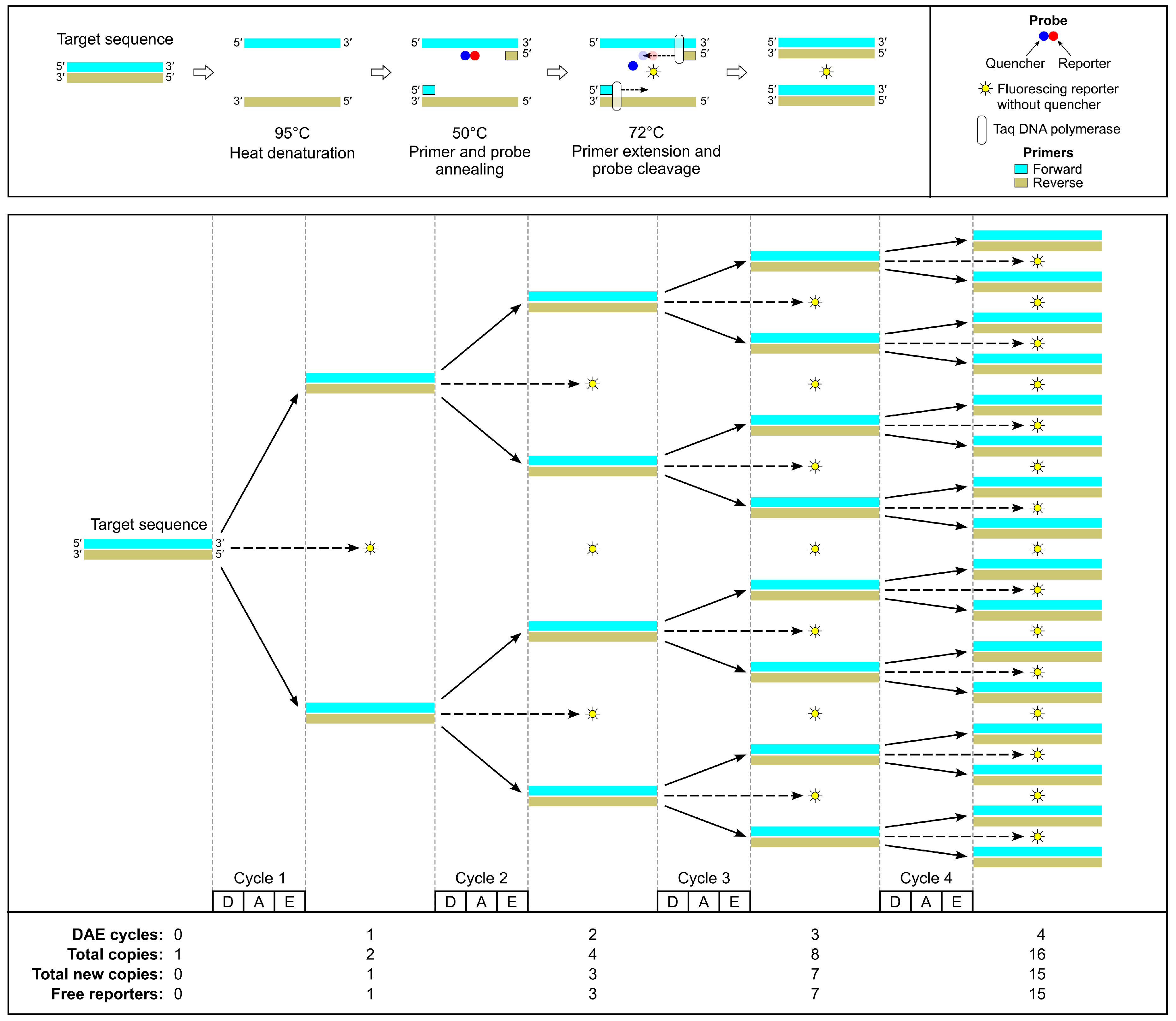 Preprints 143700 g003