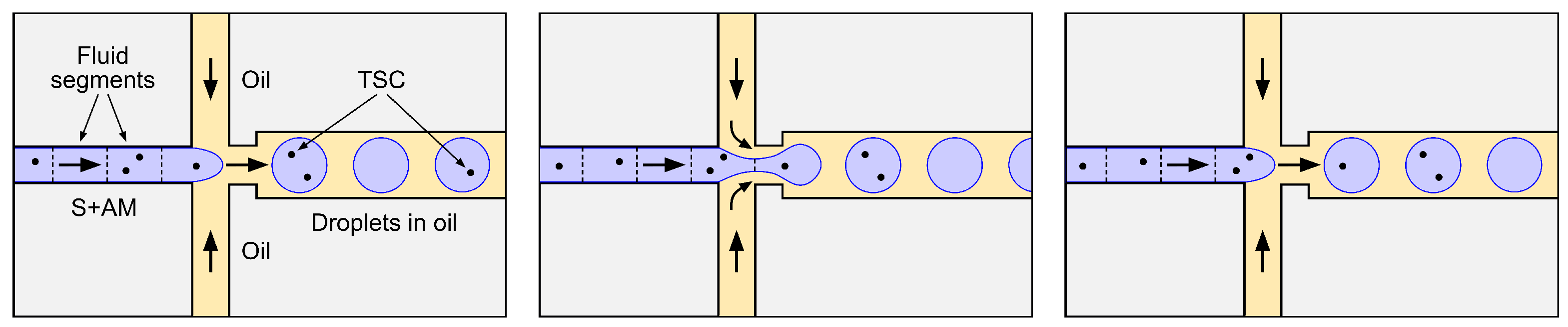 Preprints 143700 g006