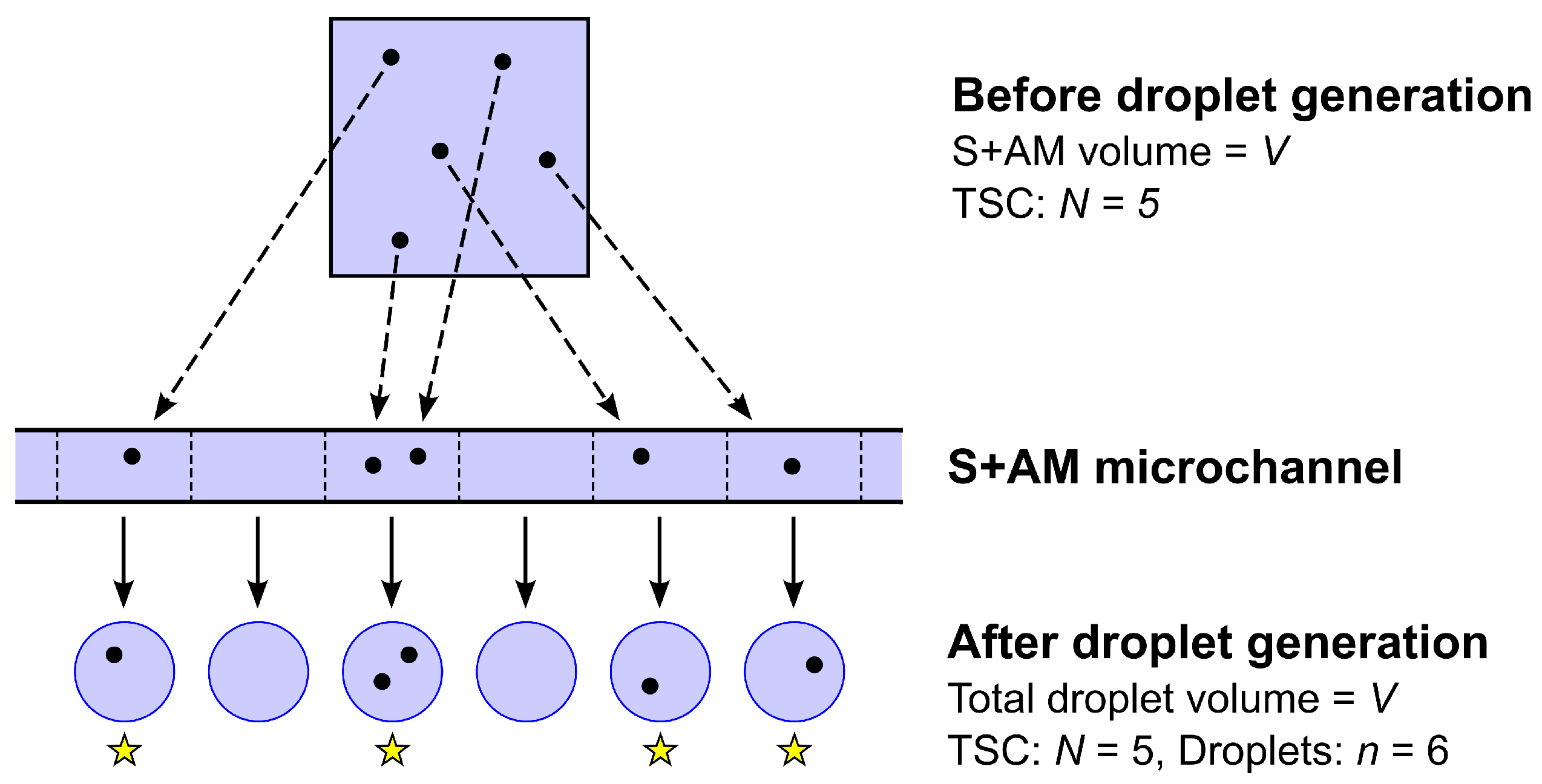 Preprints 143700 g007