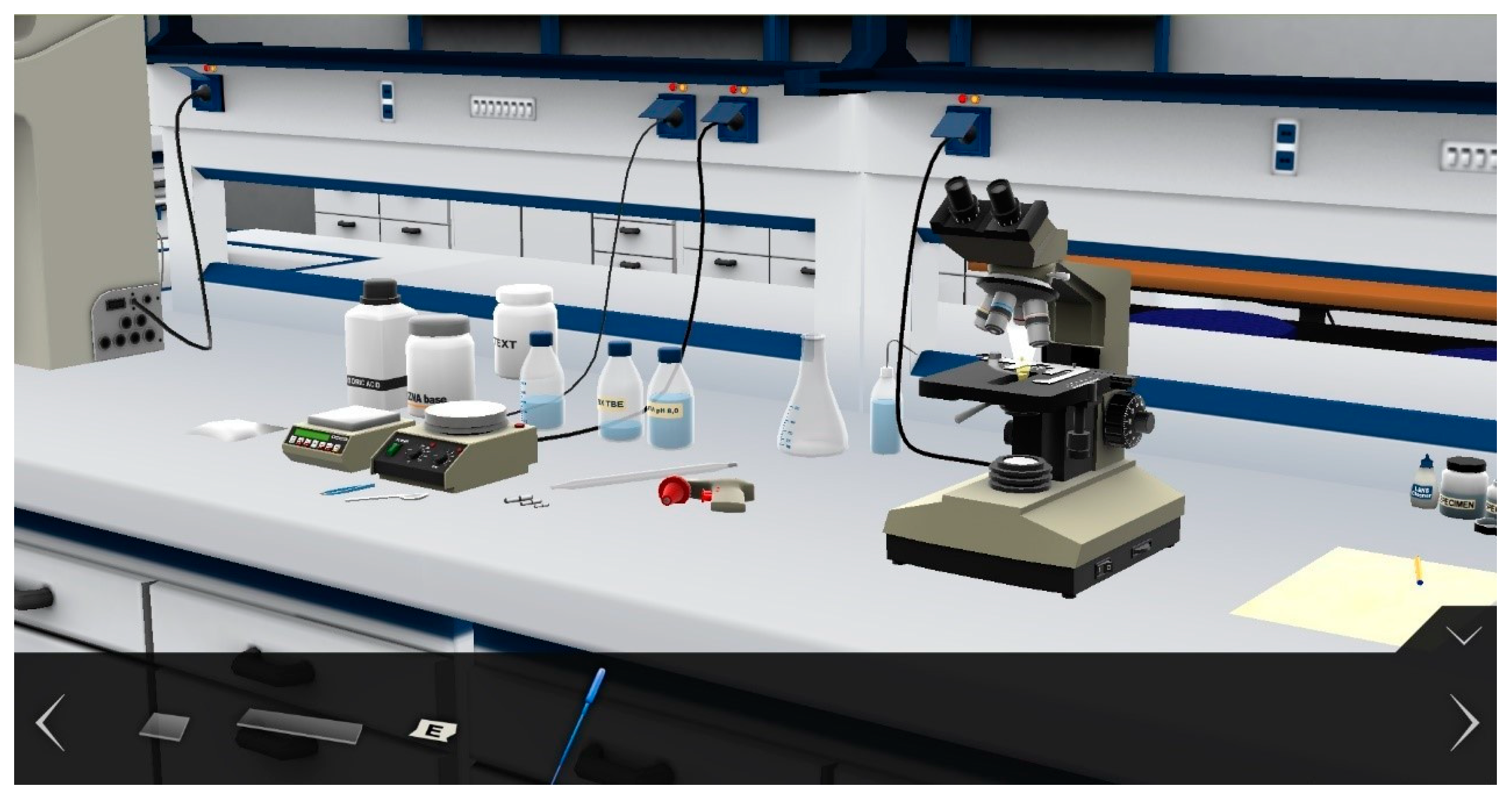 Preprints 147174 g001