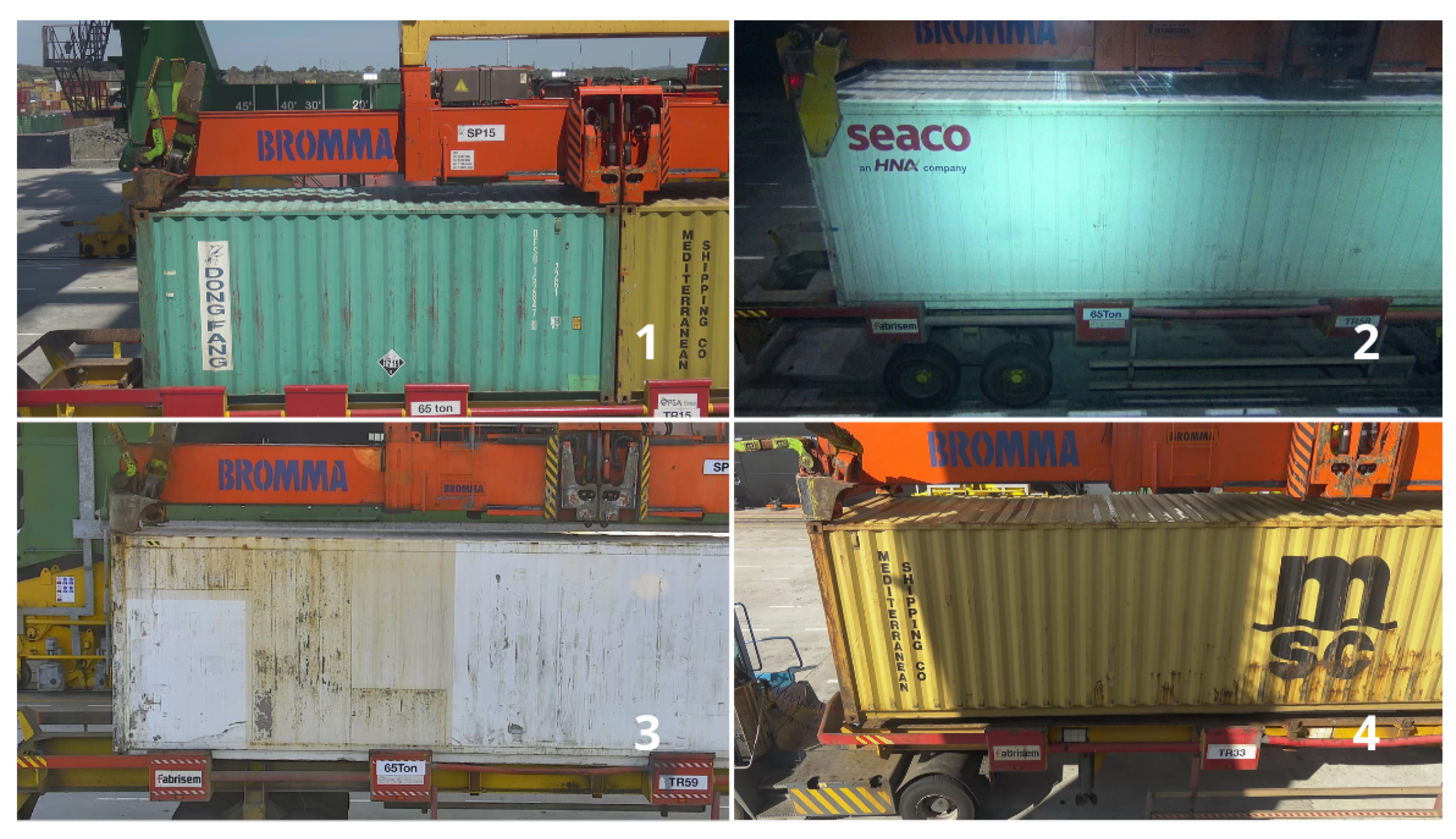 Preprints 155940 g005