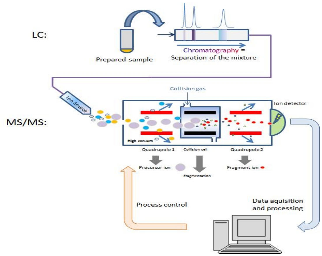 Preprints 227714 g001 Preprints 227714 g001