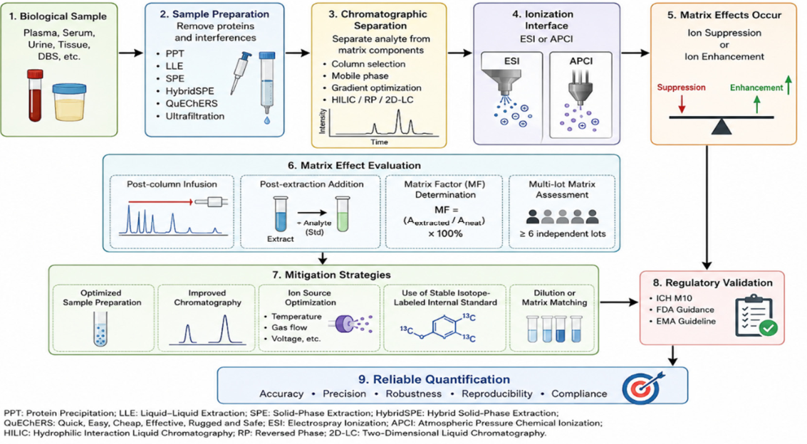 Preprints 227714 g006 Preprints 227714 g006