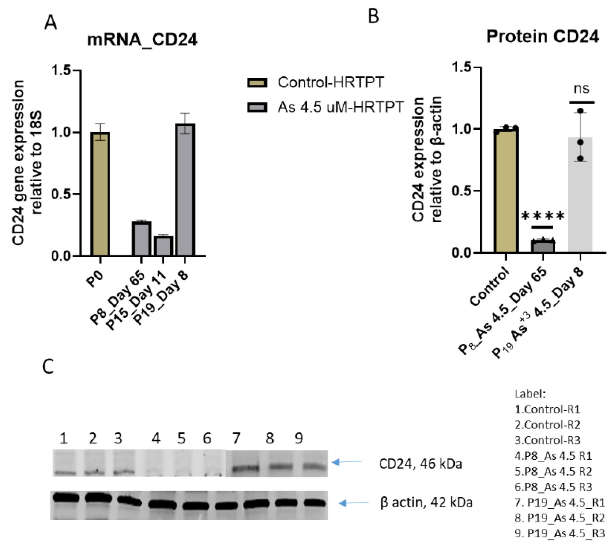 Preprints 144065 g003