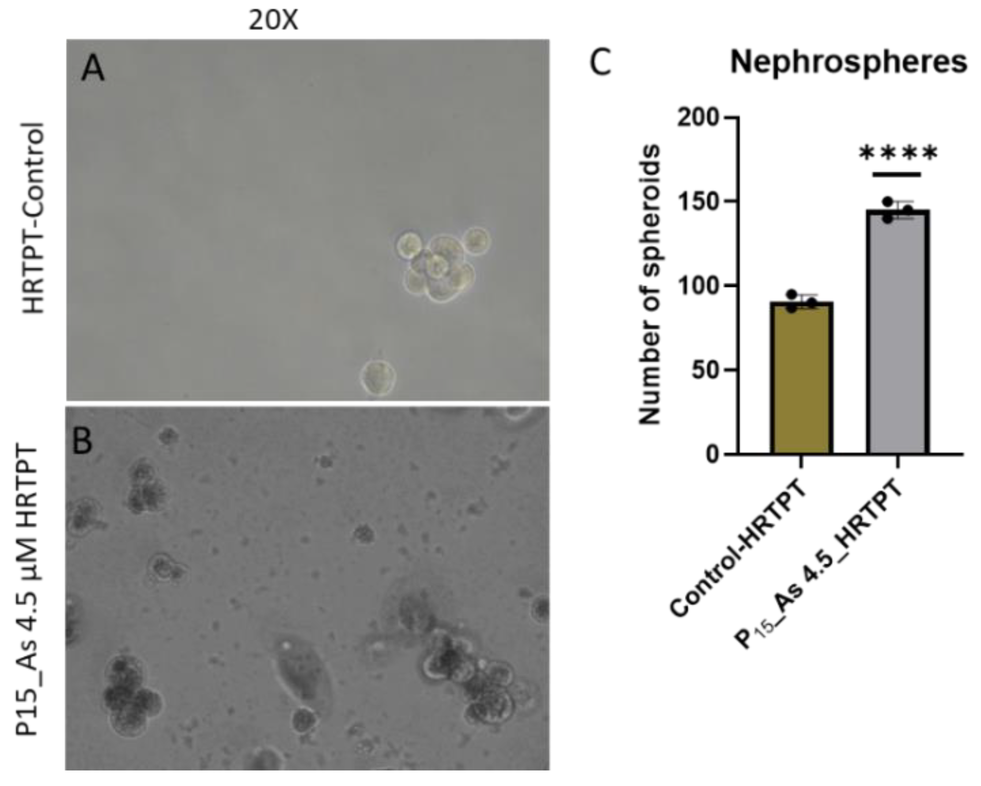 Preprints 144065 g004
