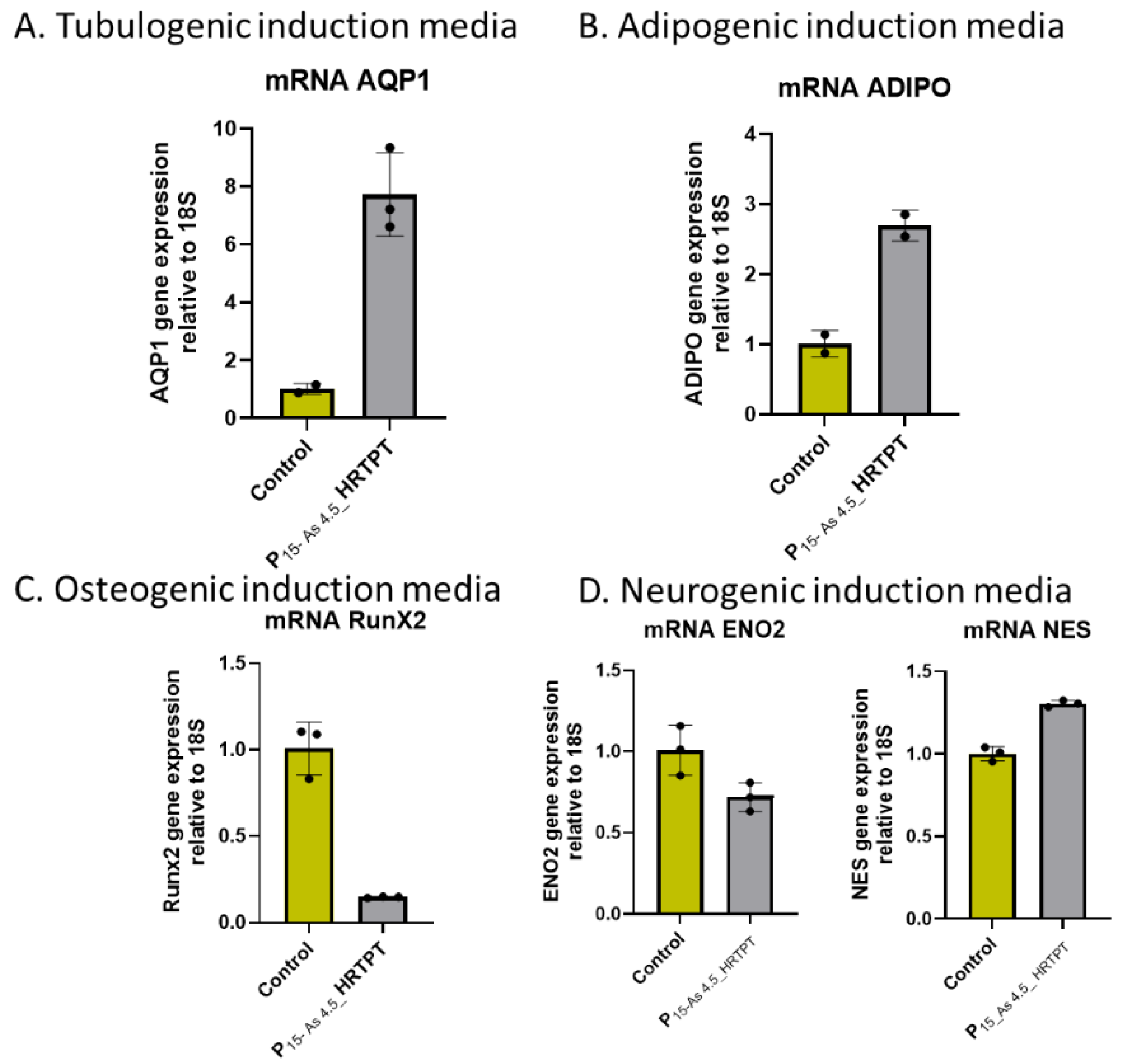 Preprints 144065 g006