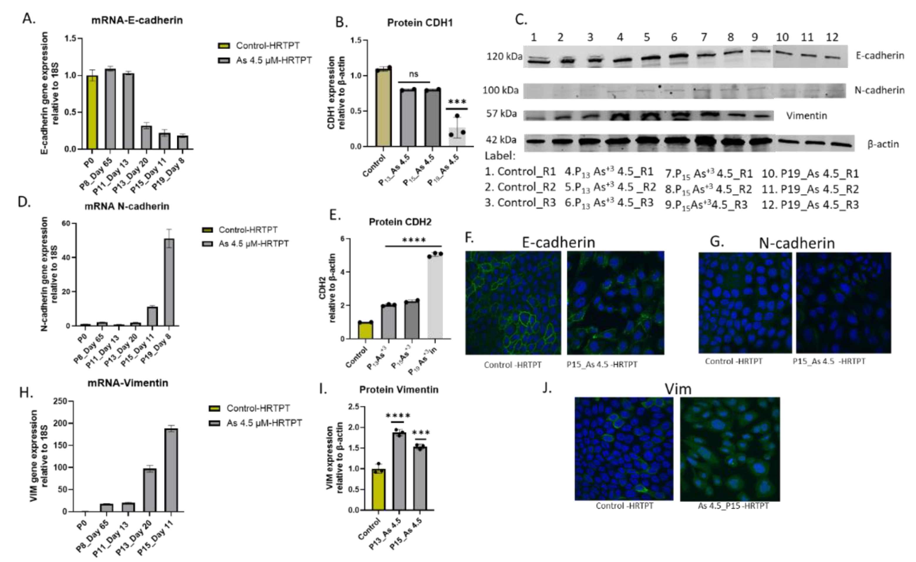 Preprints 144065 g007