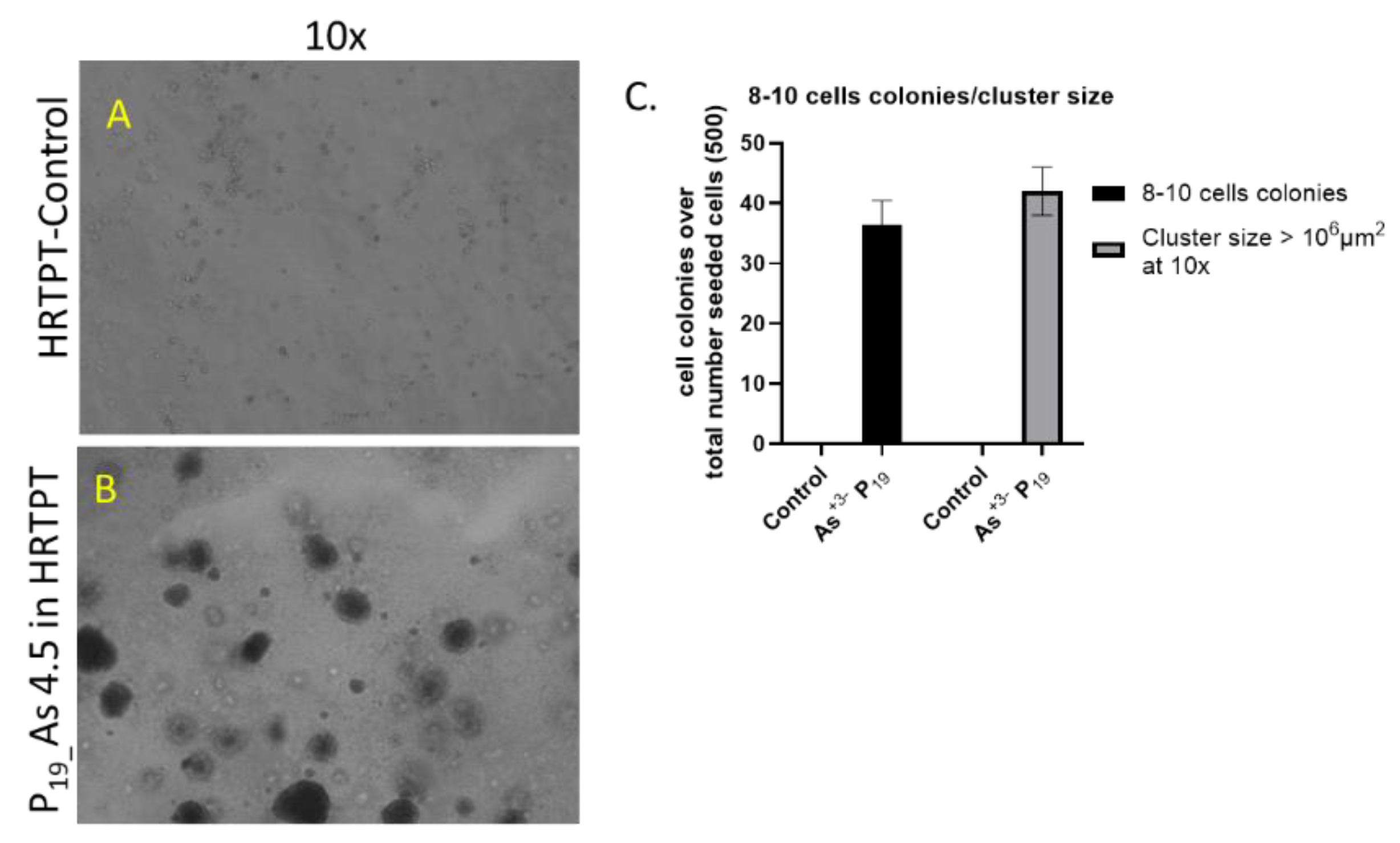 Preprints 144065 g008