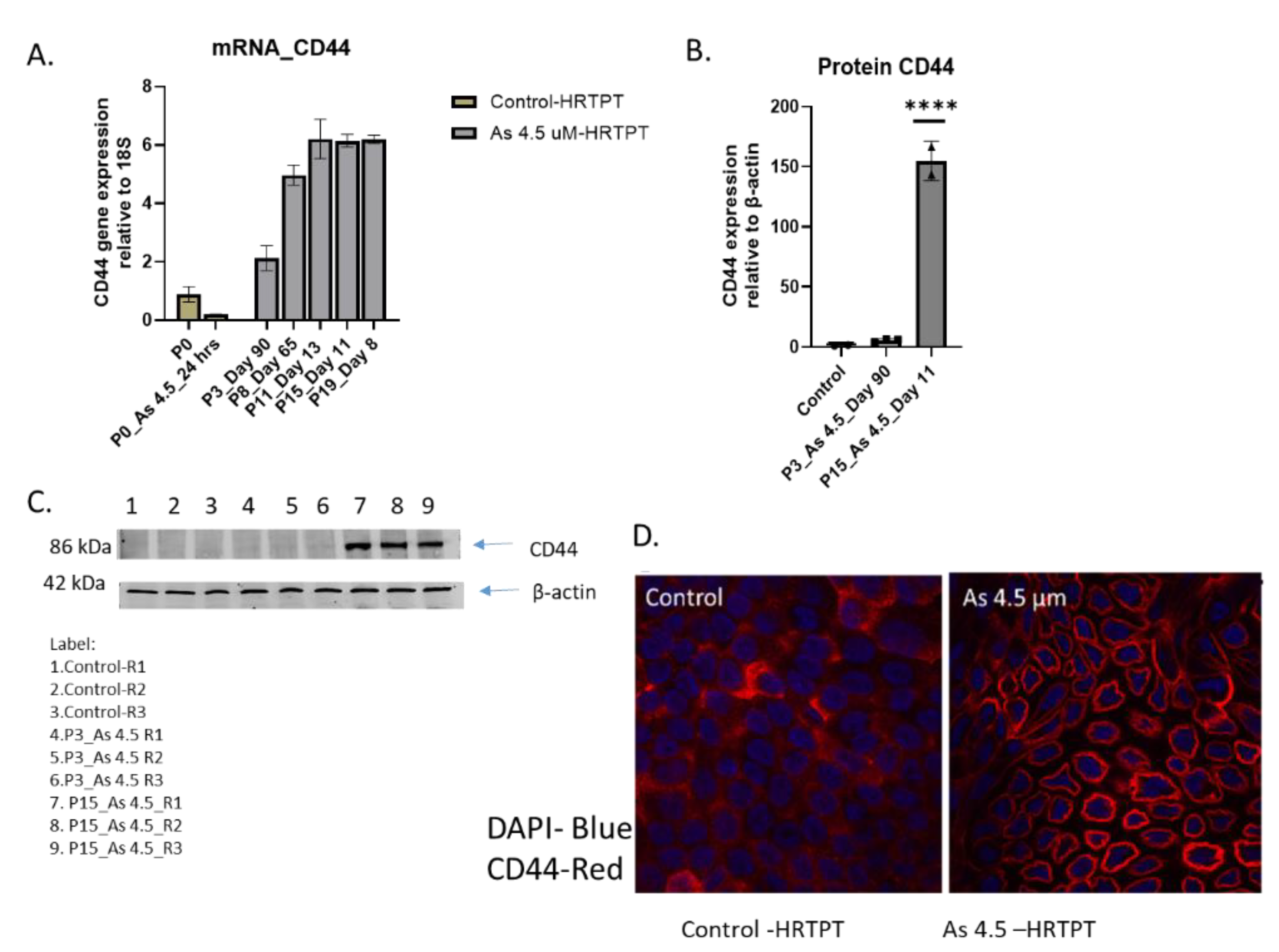 Preprints 144065 g009