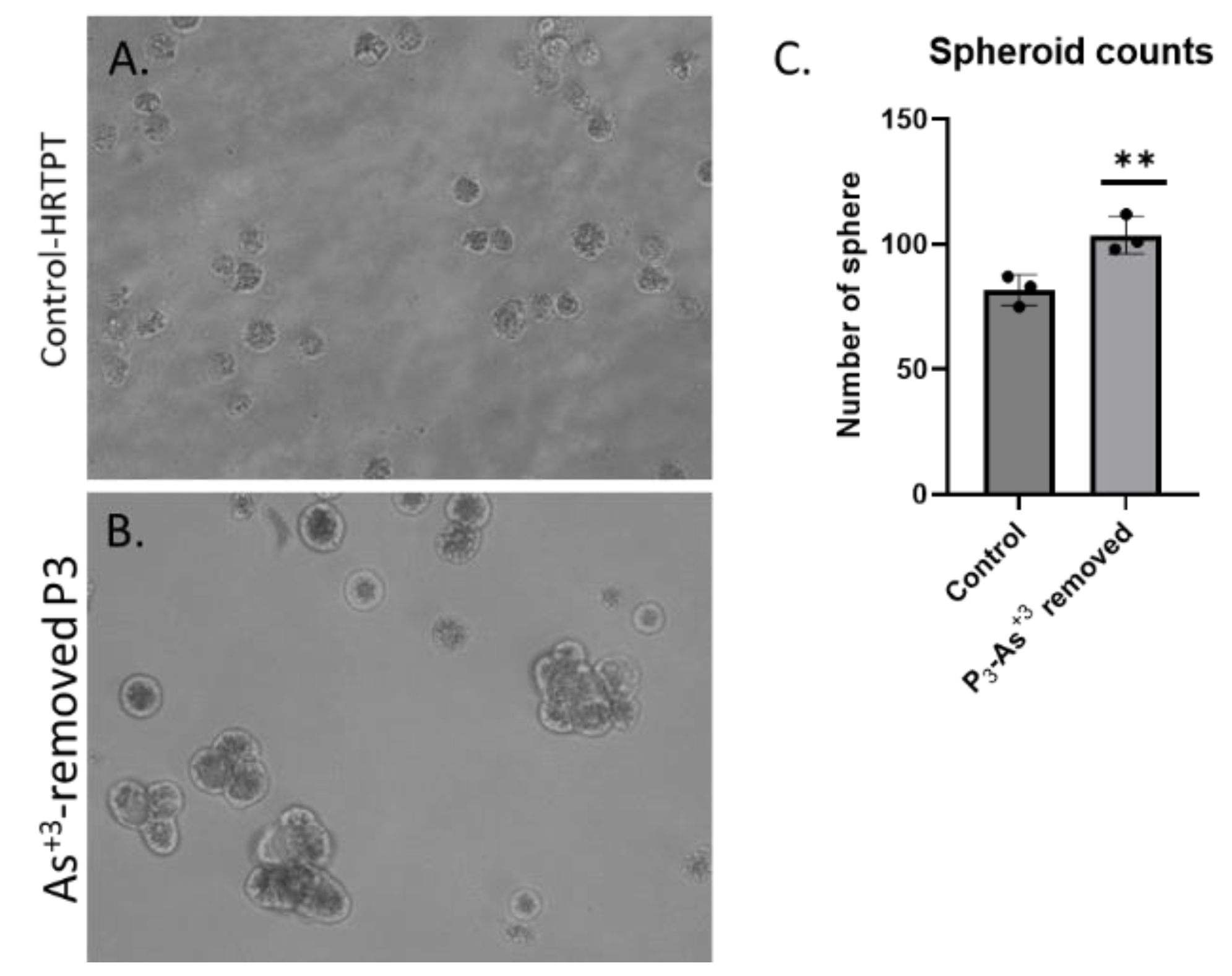 Preprints 144065 g011