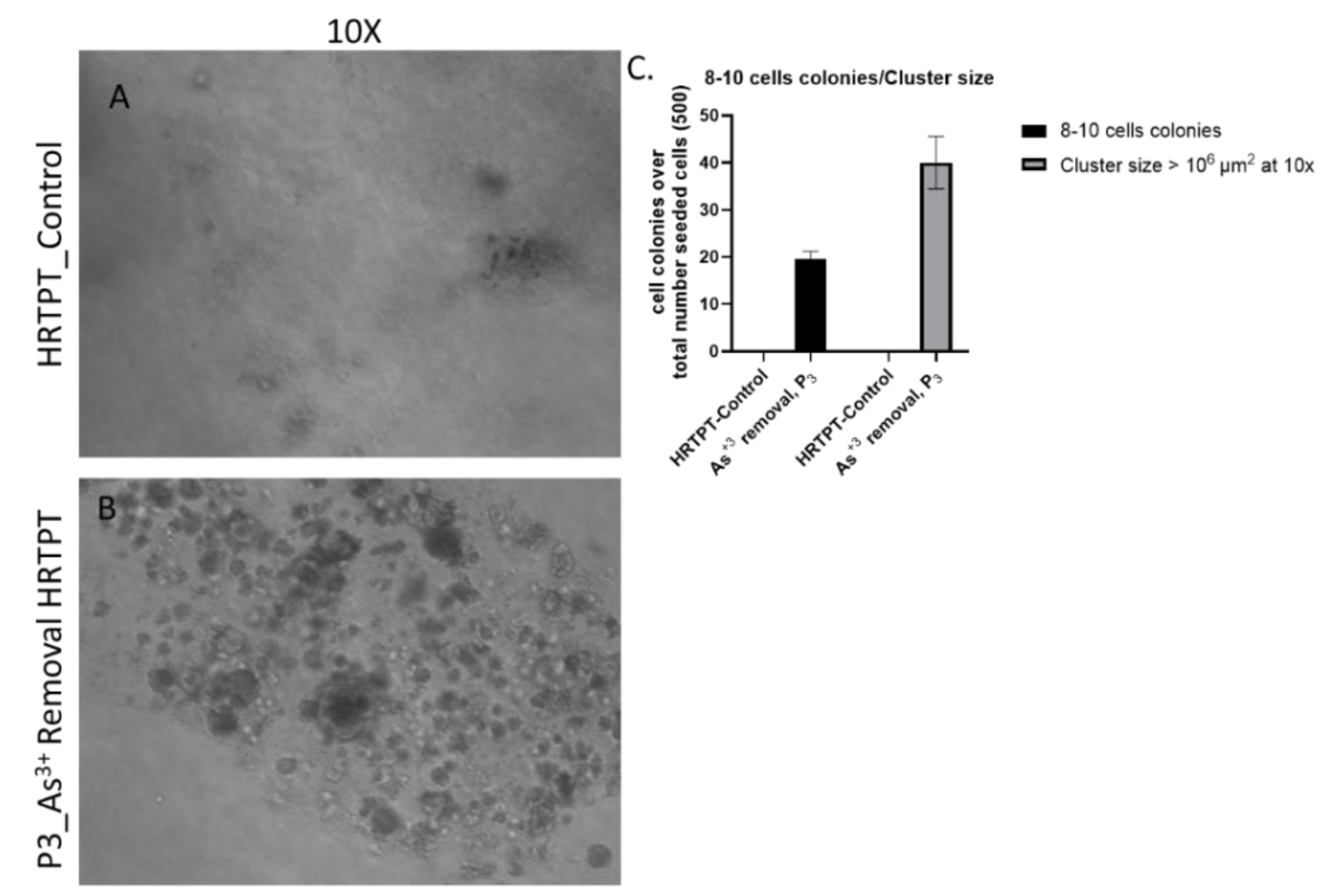 Preprints 144065 g012