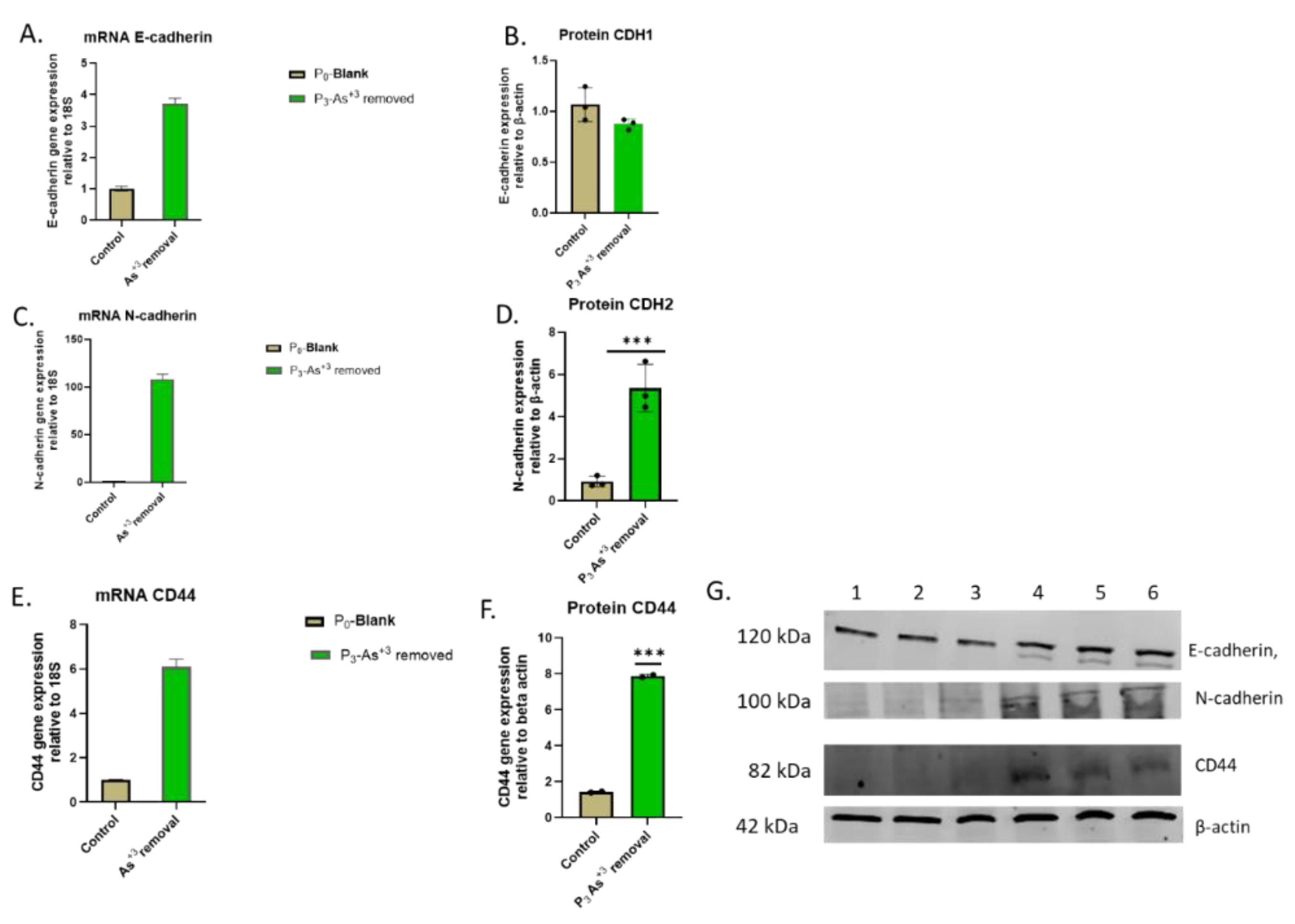Preprints 144065 g015