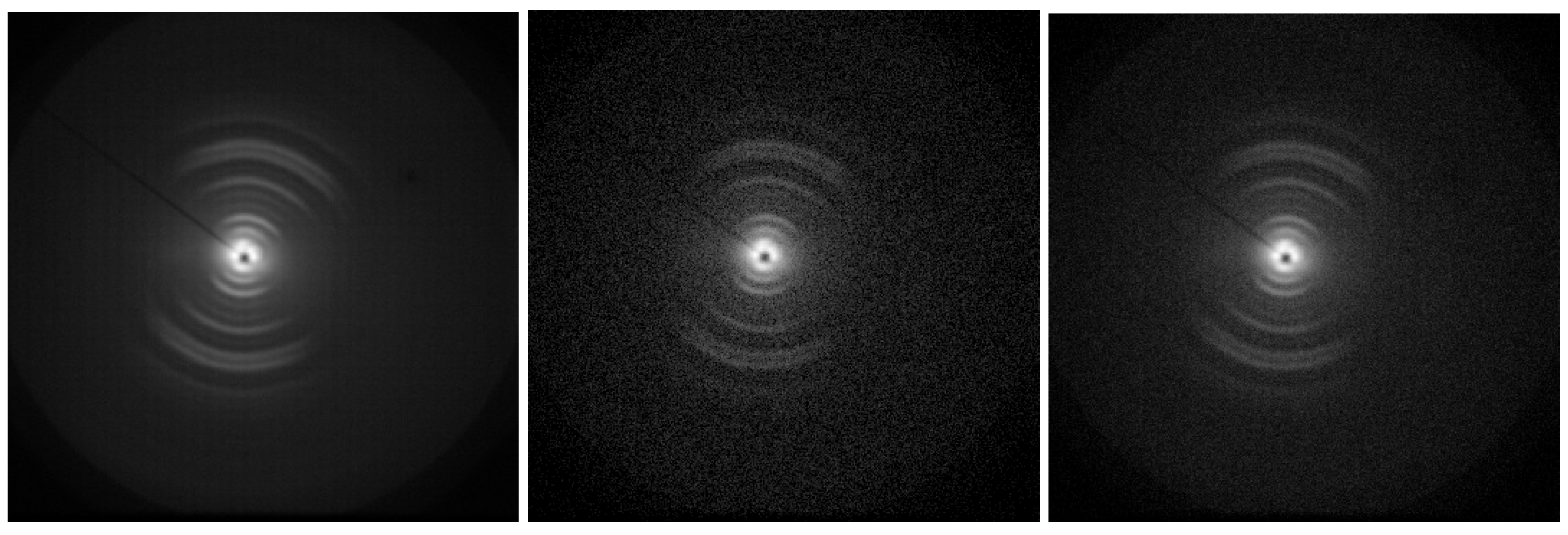 Preprints 142671 g002