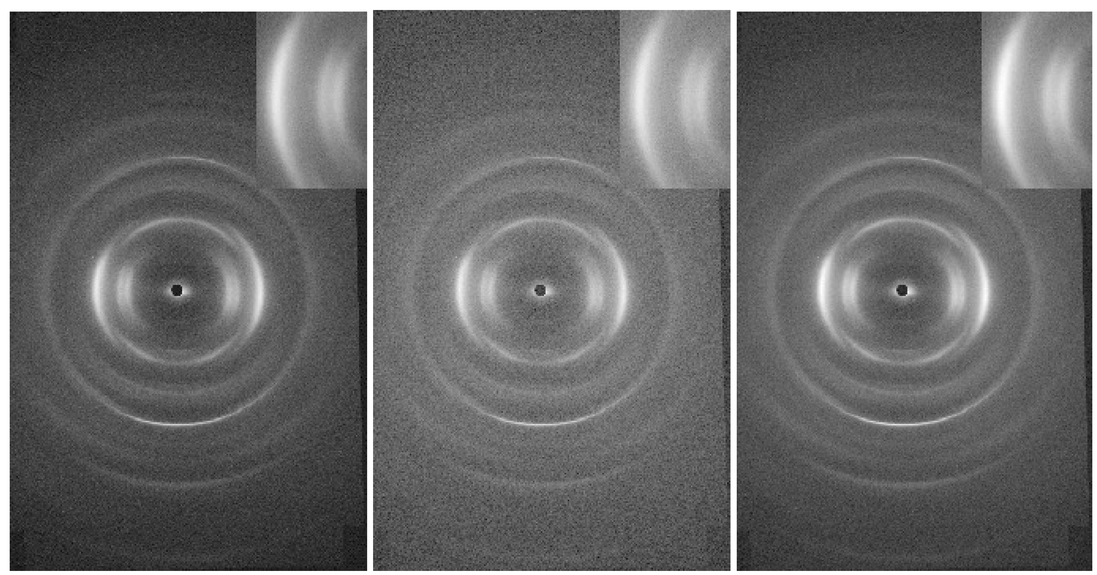 Preprints 142671 g003