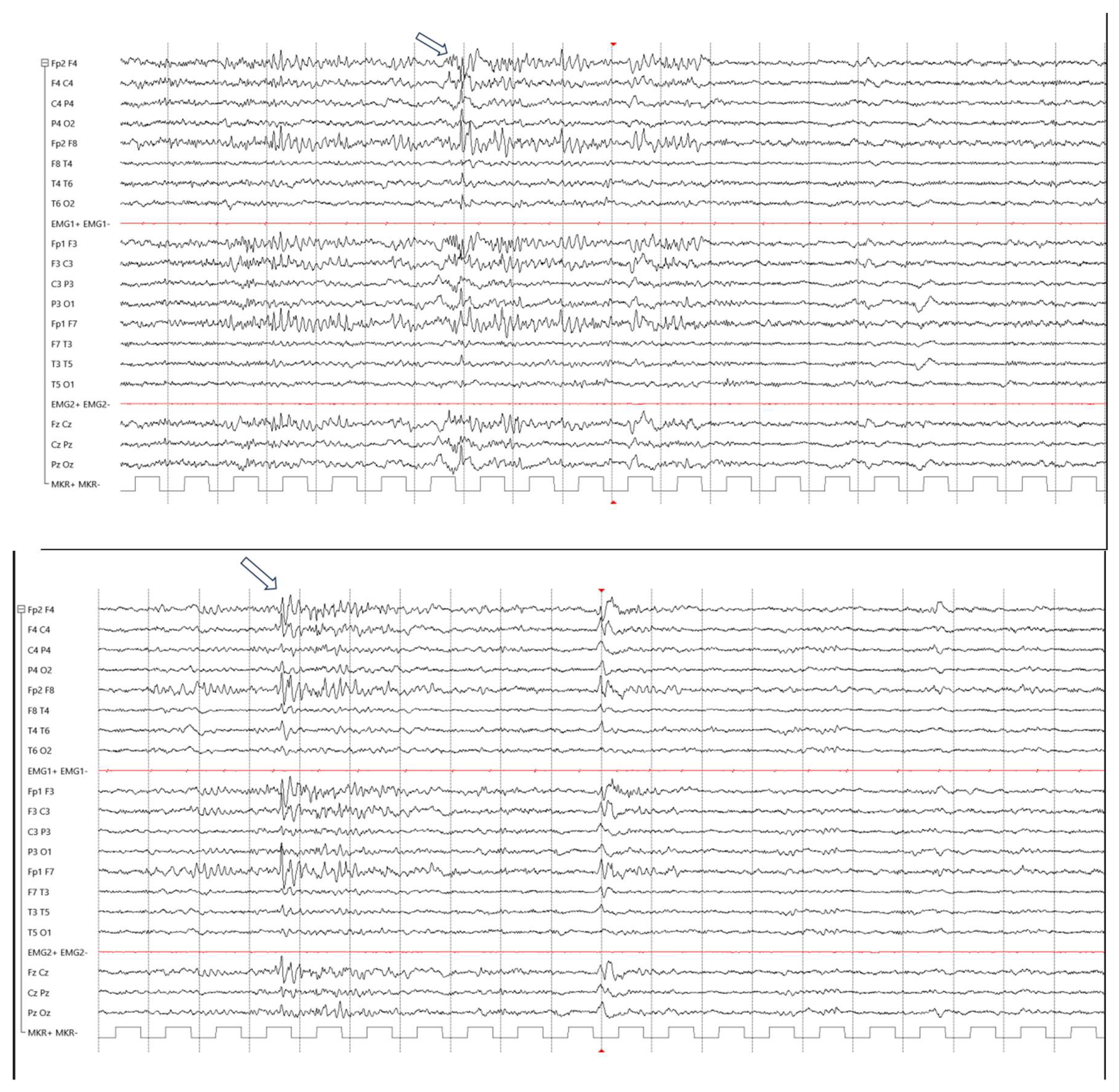 Preprints 209562 g001
