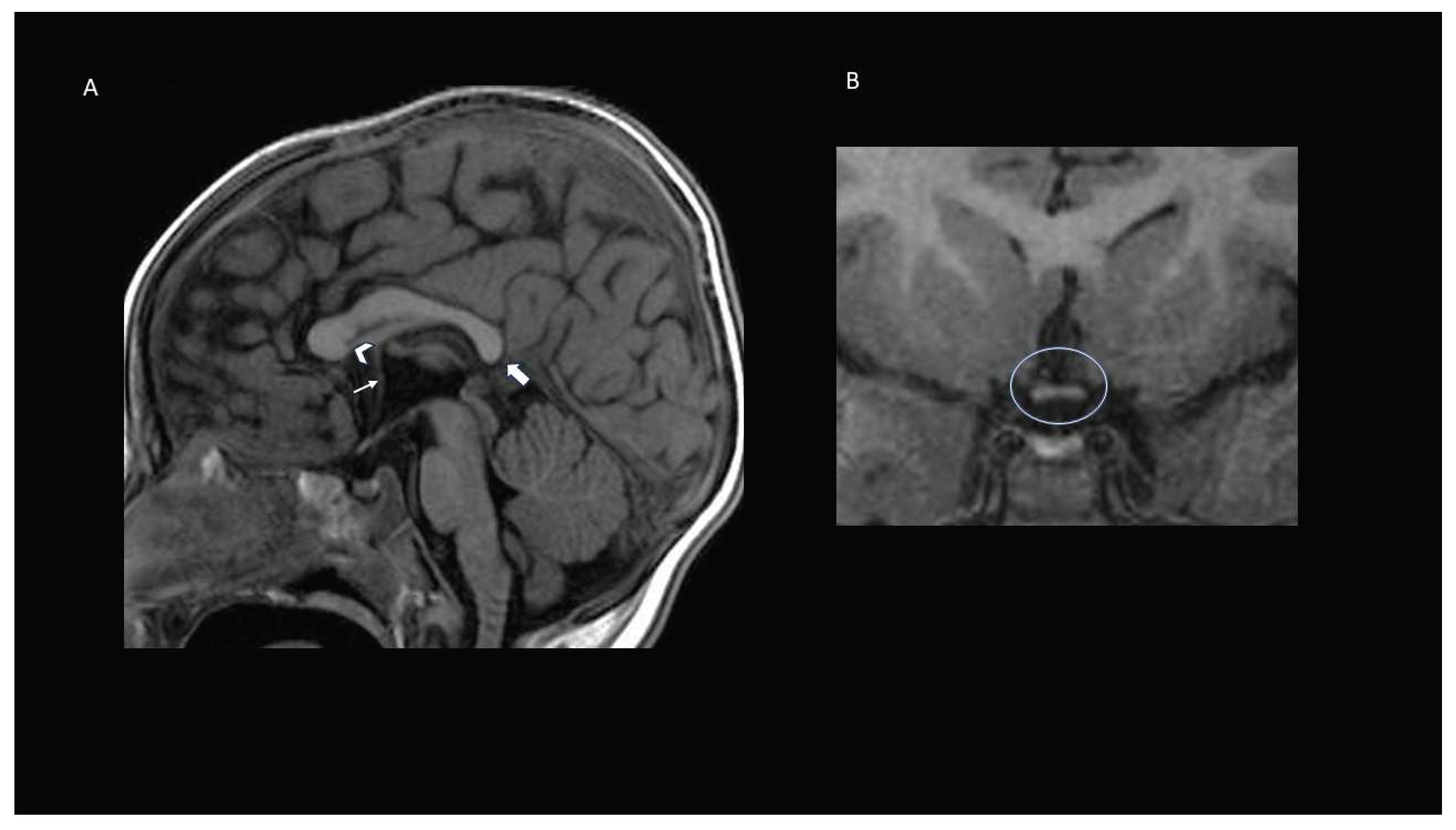 Preprints 209562 g002