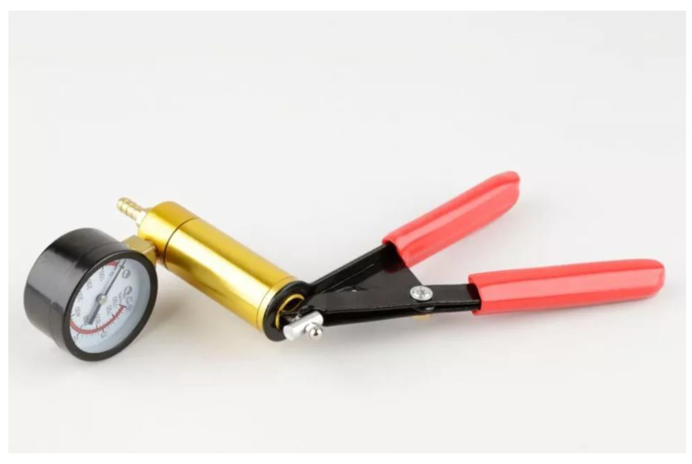 Preprints 196882 g002