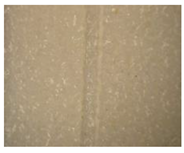 Preprints 196882 i002