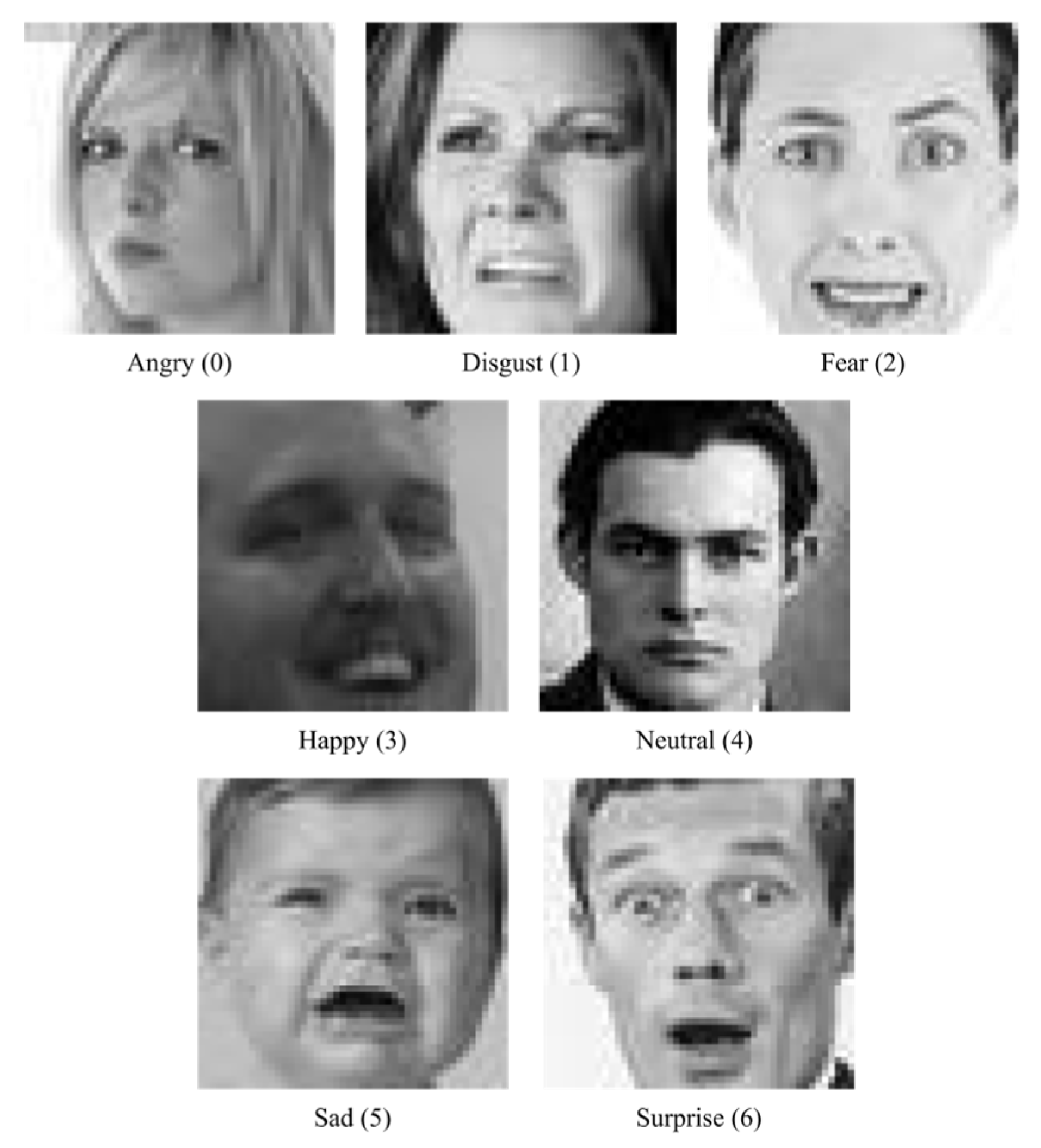 Preprints 154515 g001