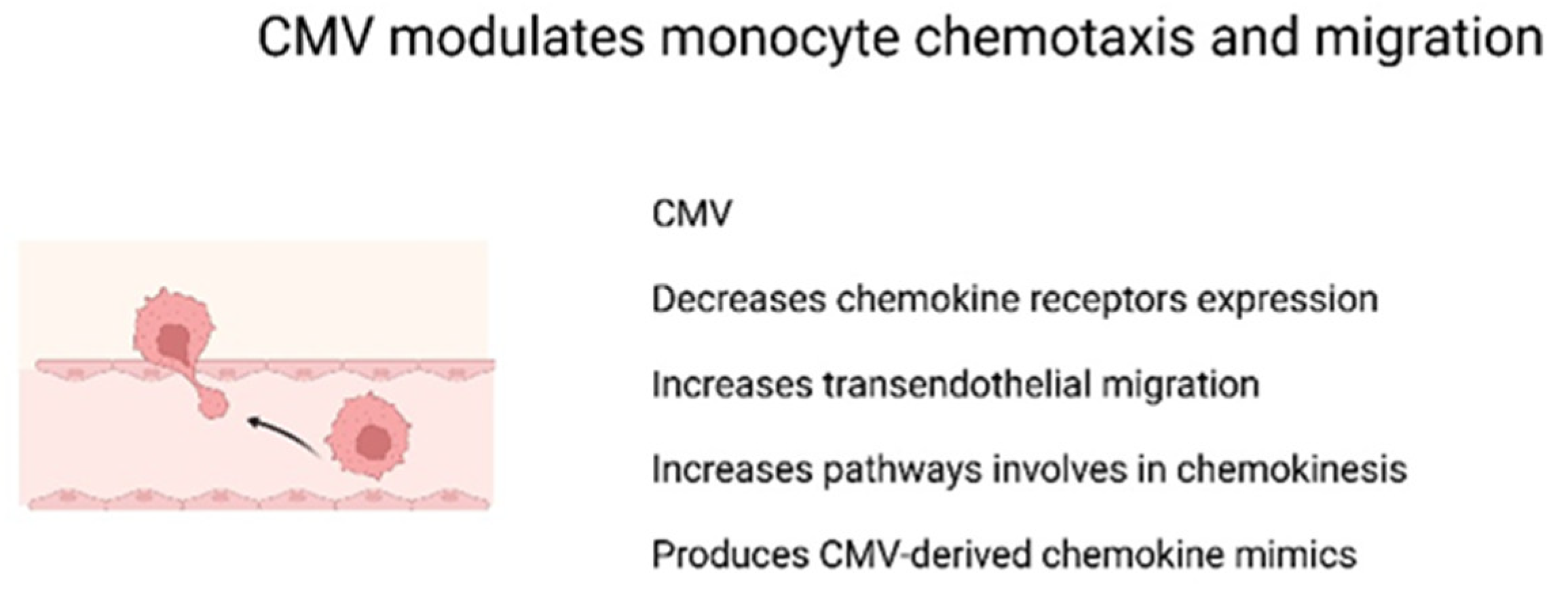 Modulation of Monocyte Effector Functions and Gene
