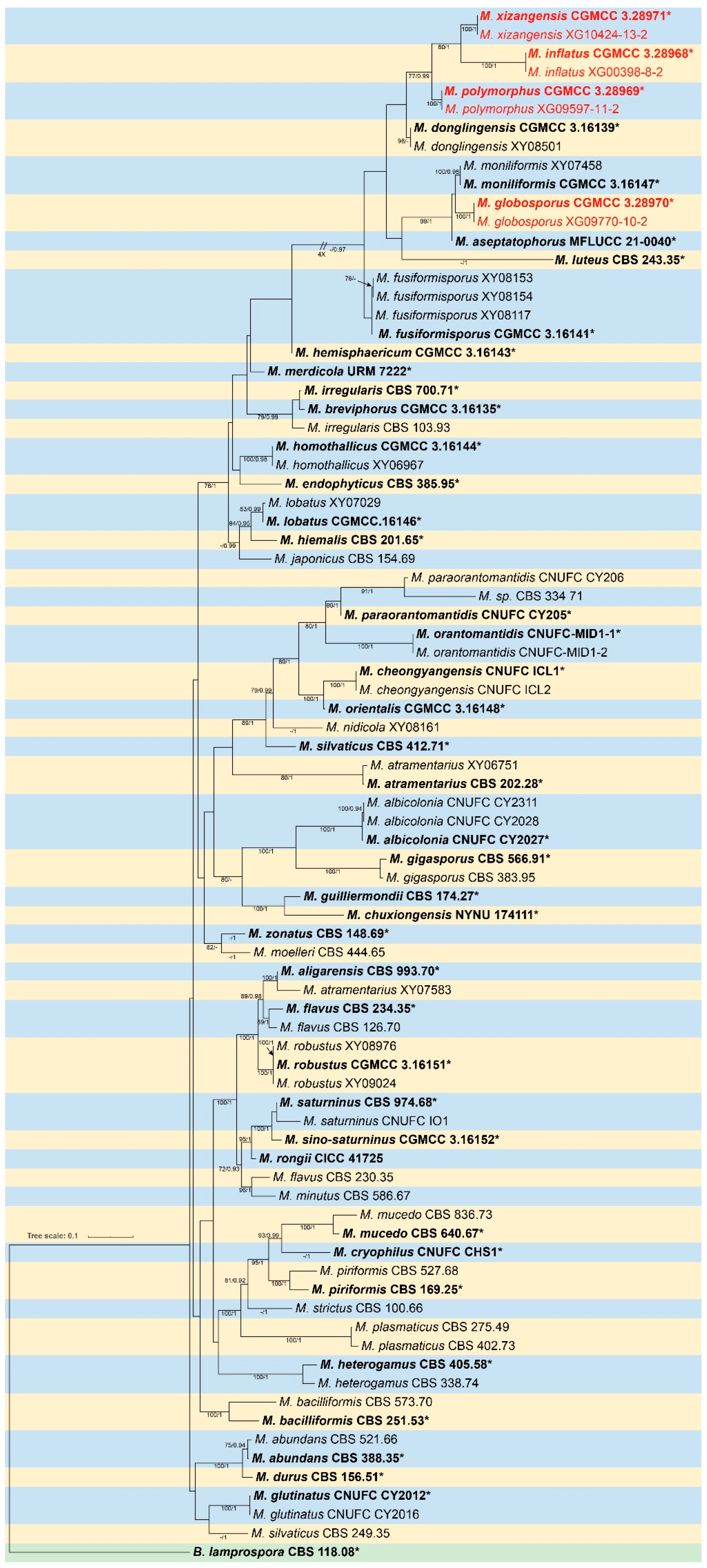 Preprints 172585 g001