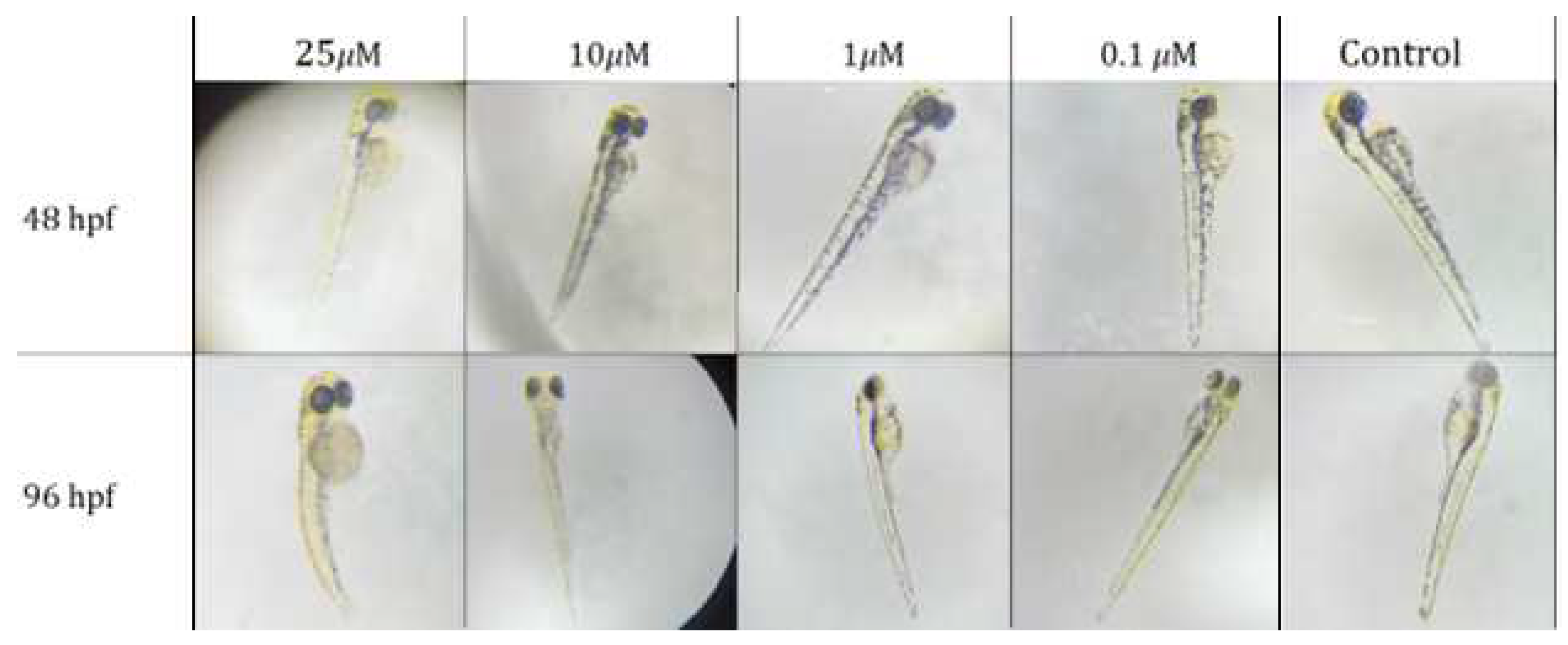 Preprints 93388 g005