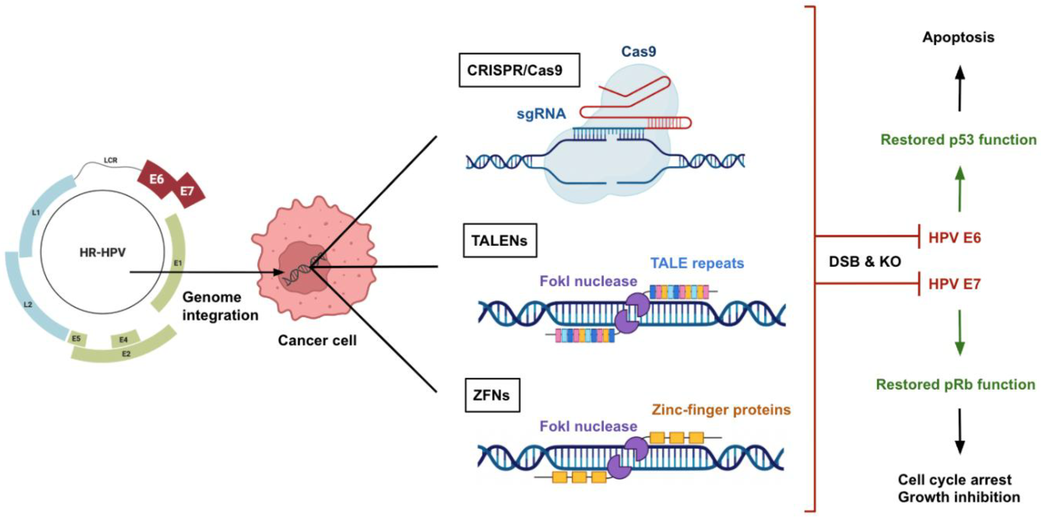Preprints 170883 g001
