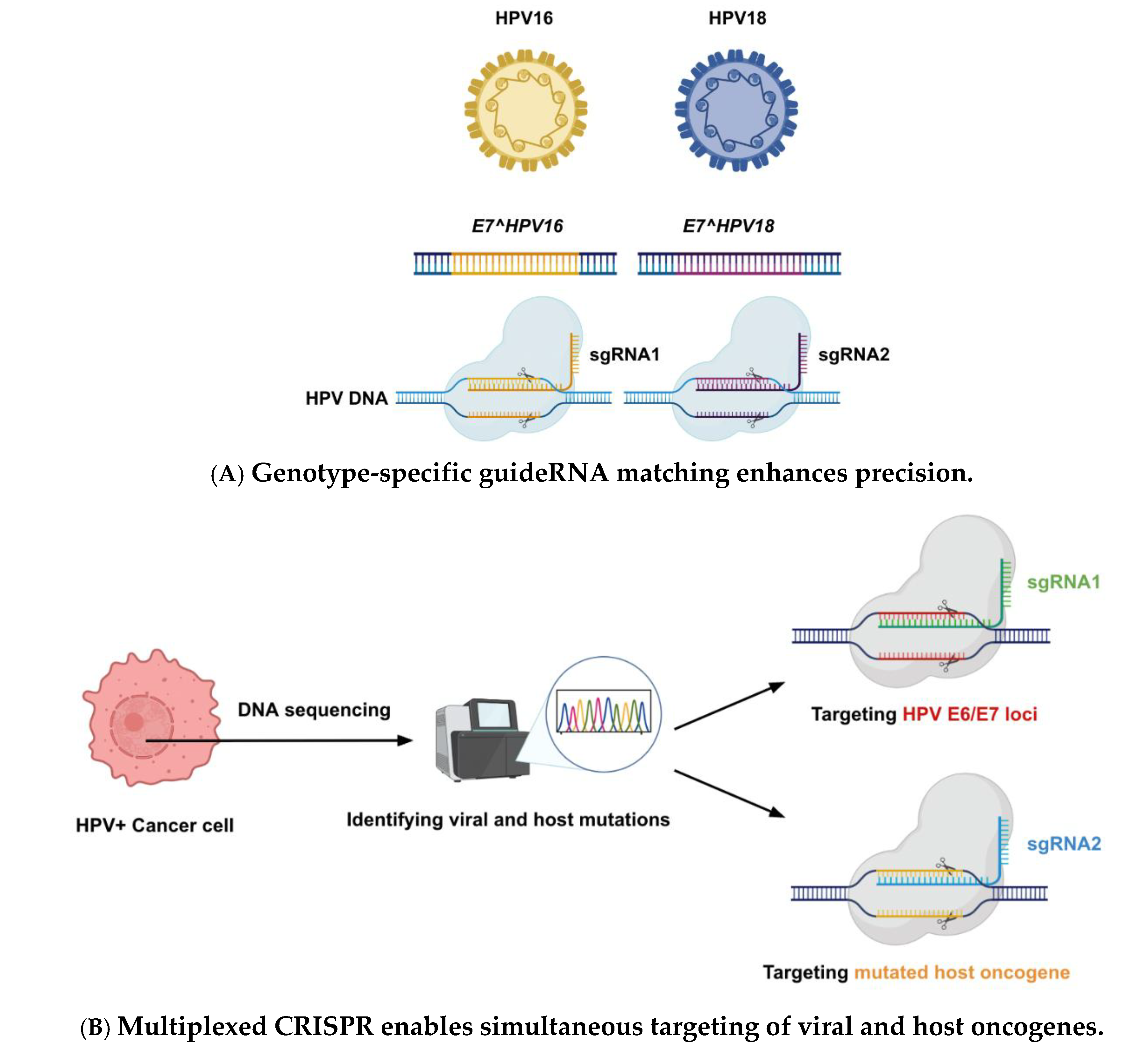 Preprints 170883 g002a
