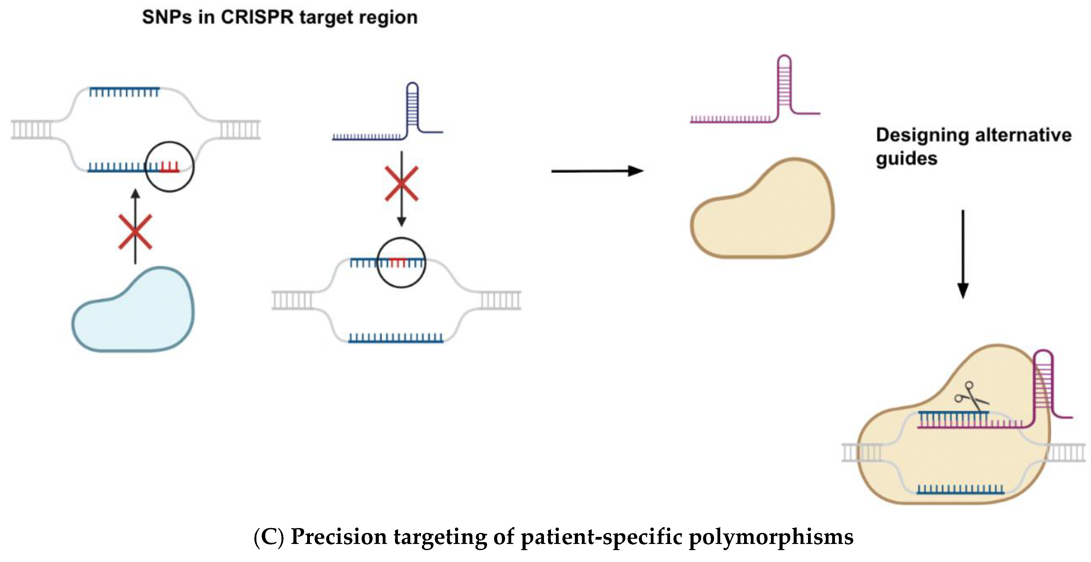 Preprints 170883 g002b
