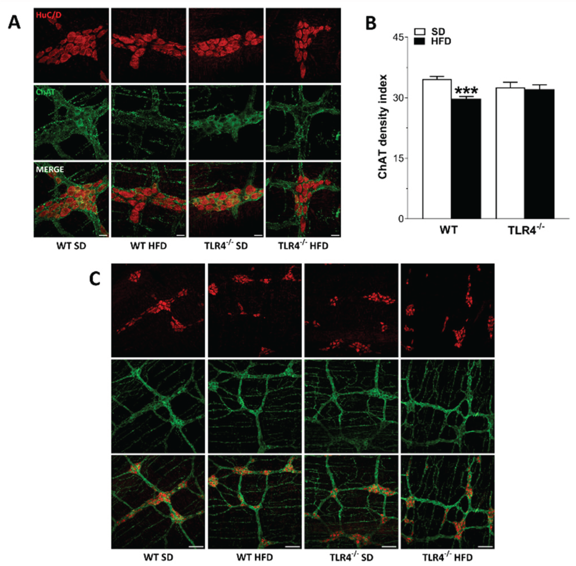 Preprints 165245 g005