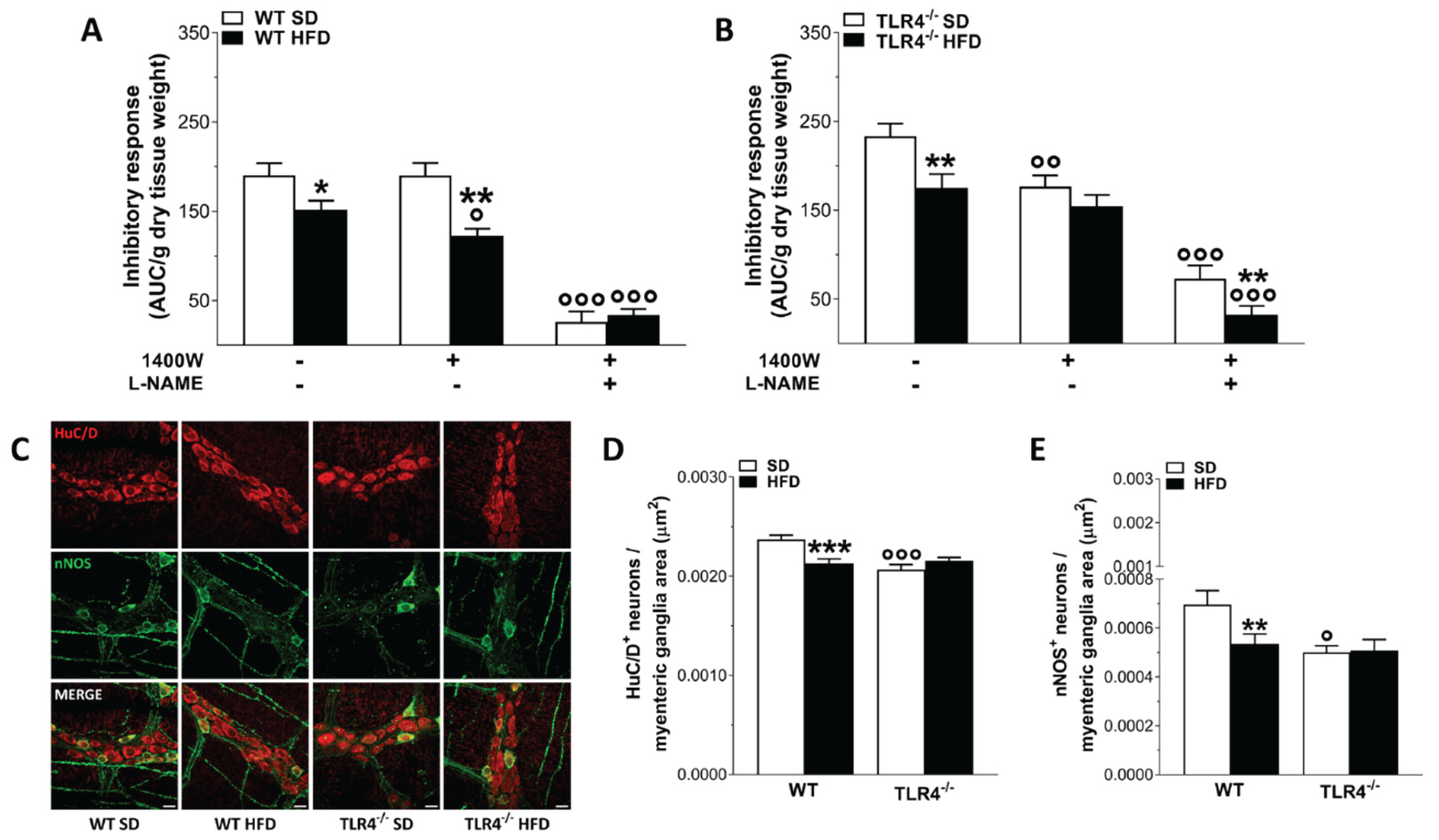 Preprints 165245 g006