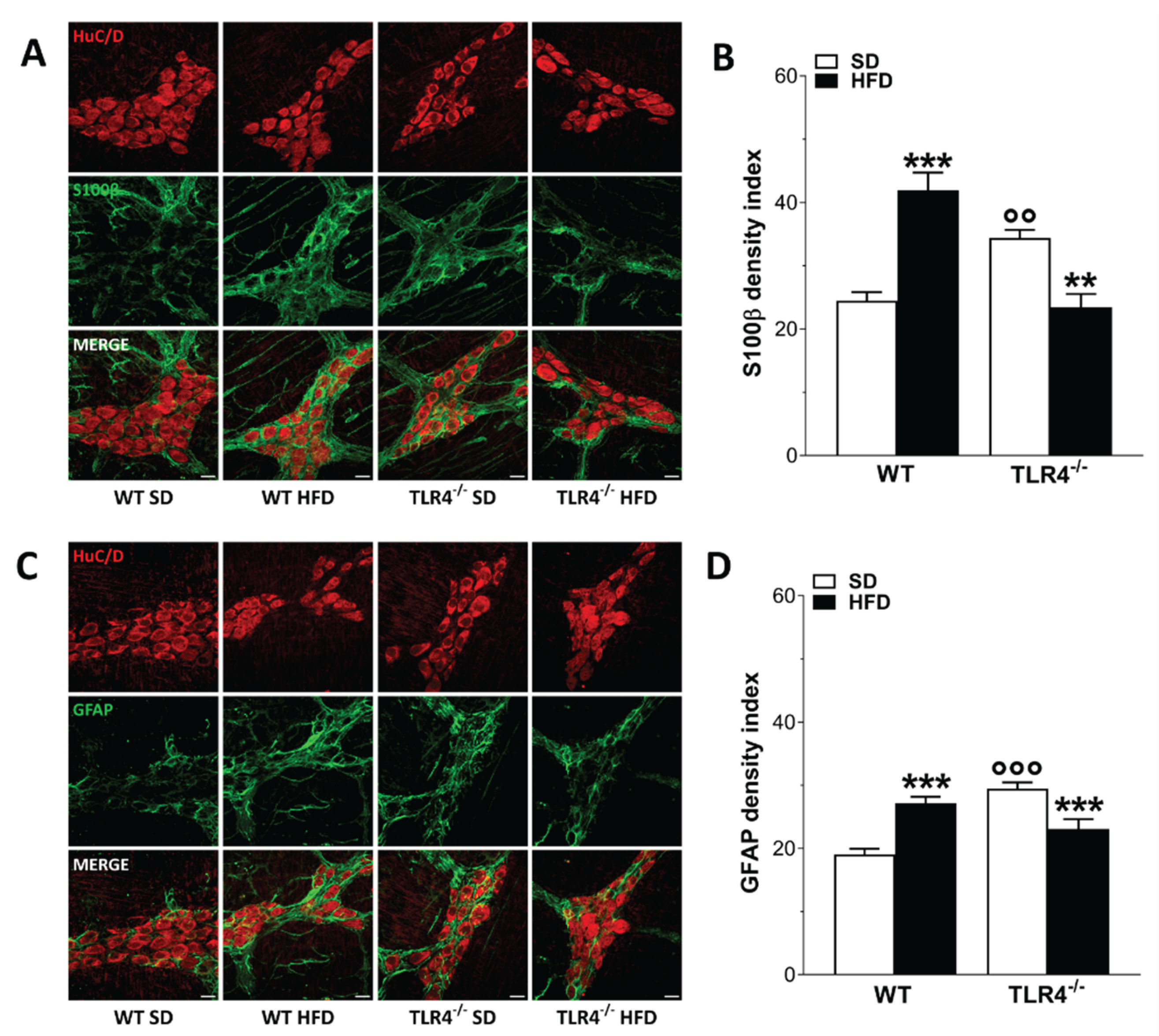 Preprints 165245 g007