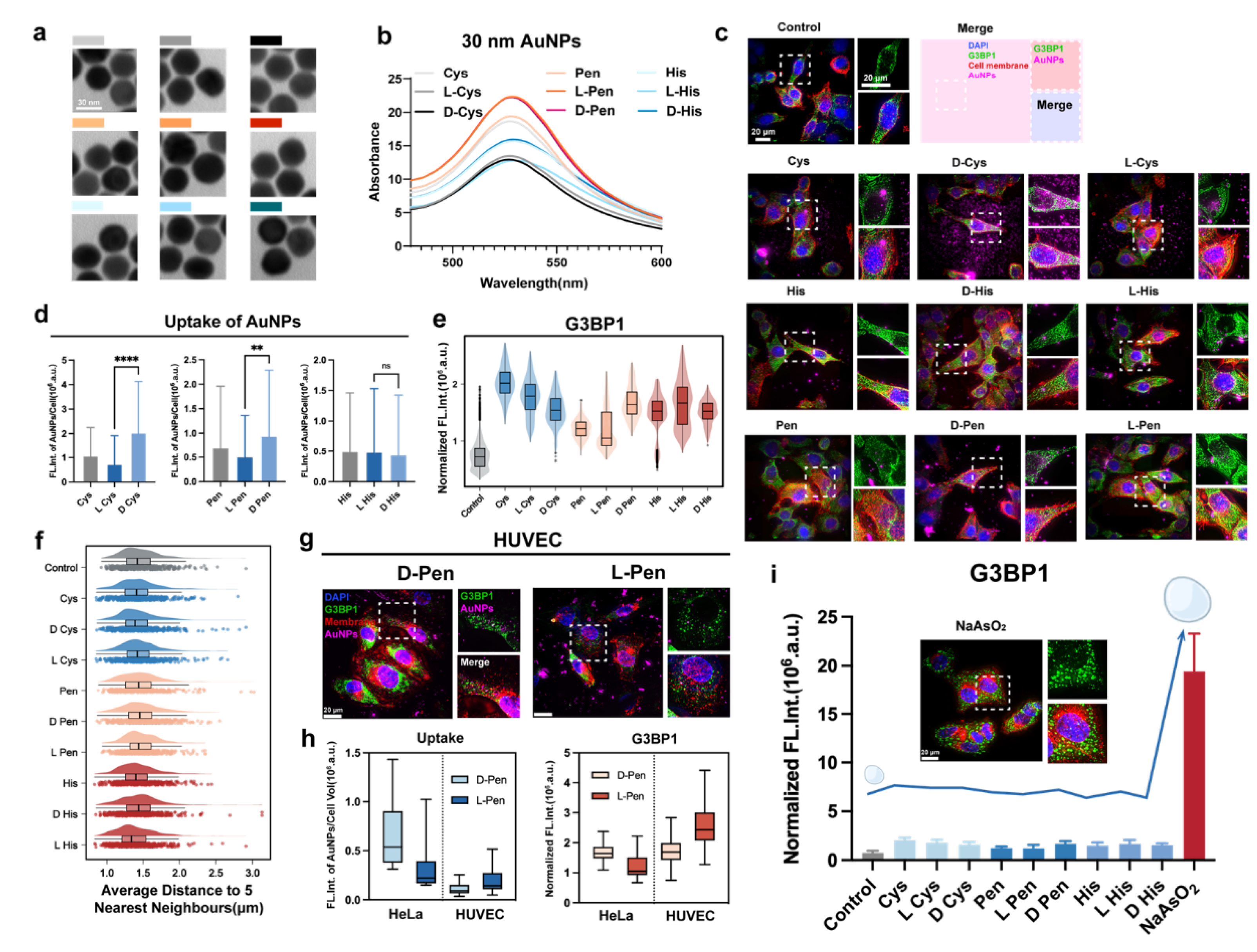 Preprints 105085 g001