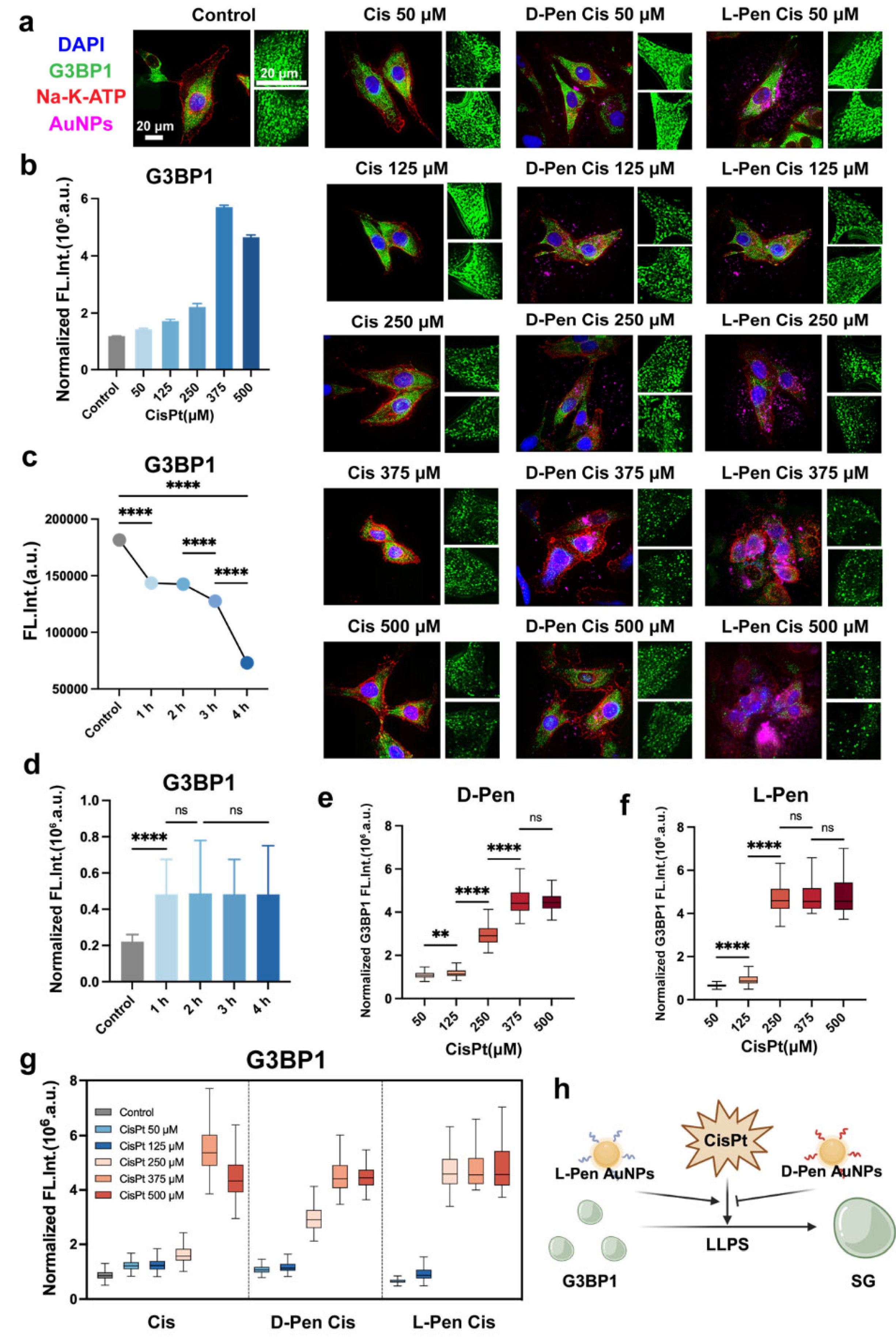 Preprints 105085 g002