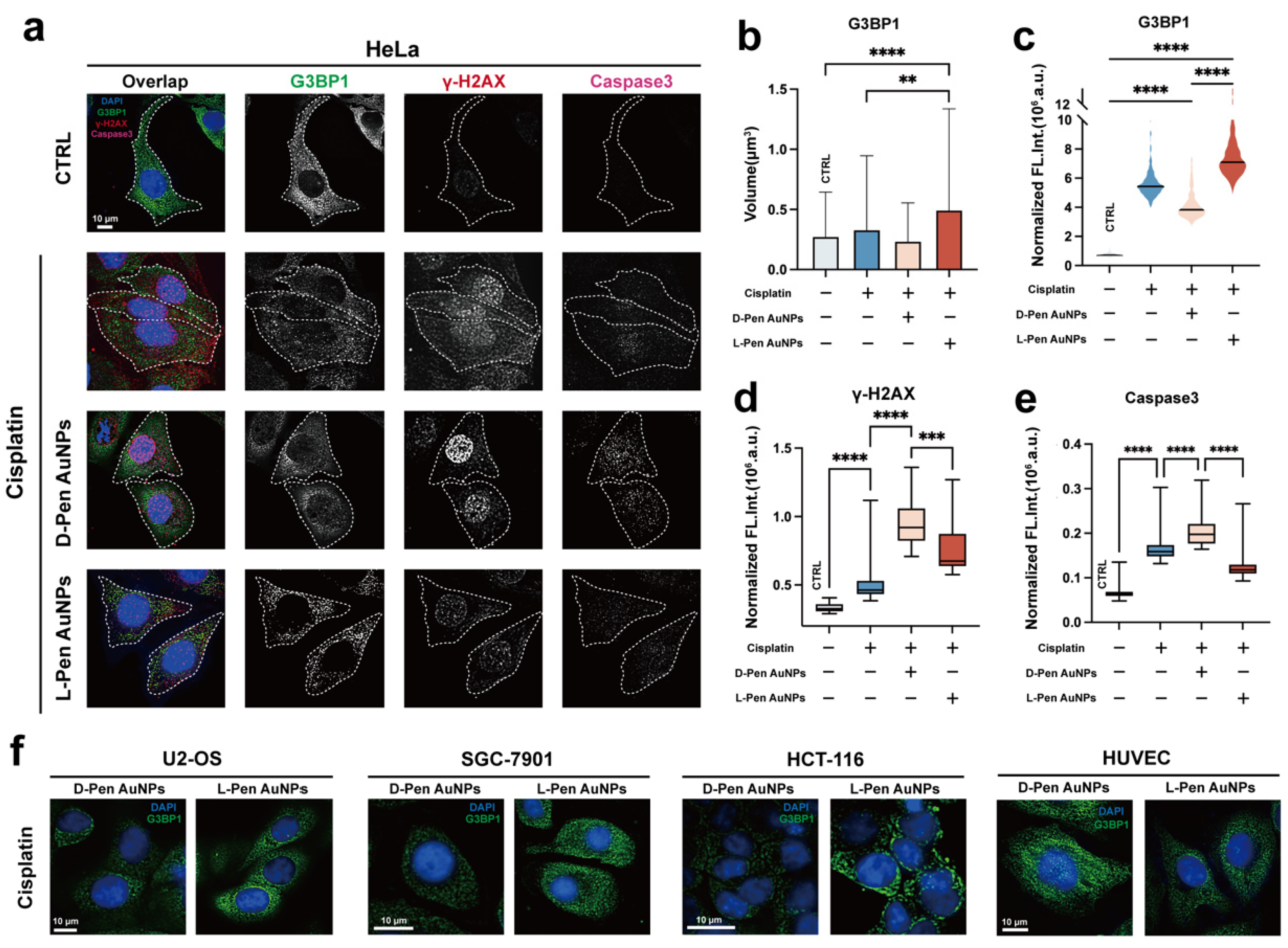 Preprints 105085 g003