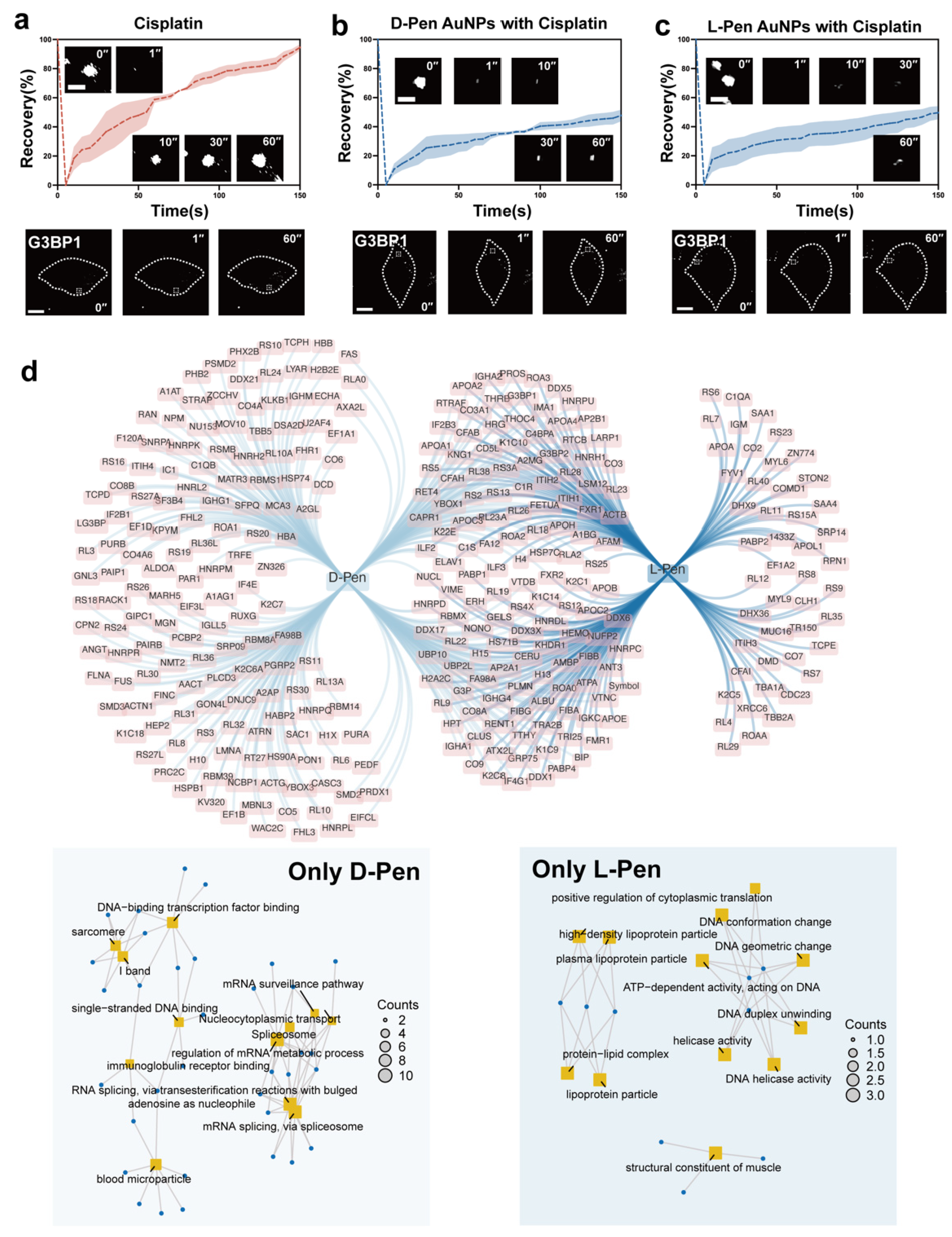 Preprints 105085 g004