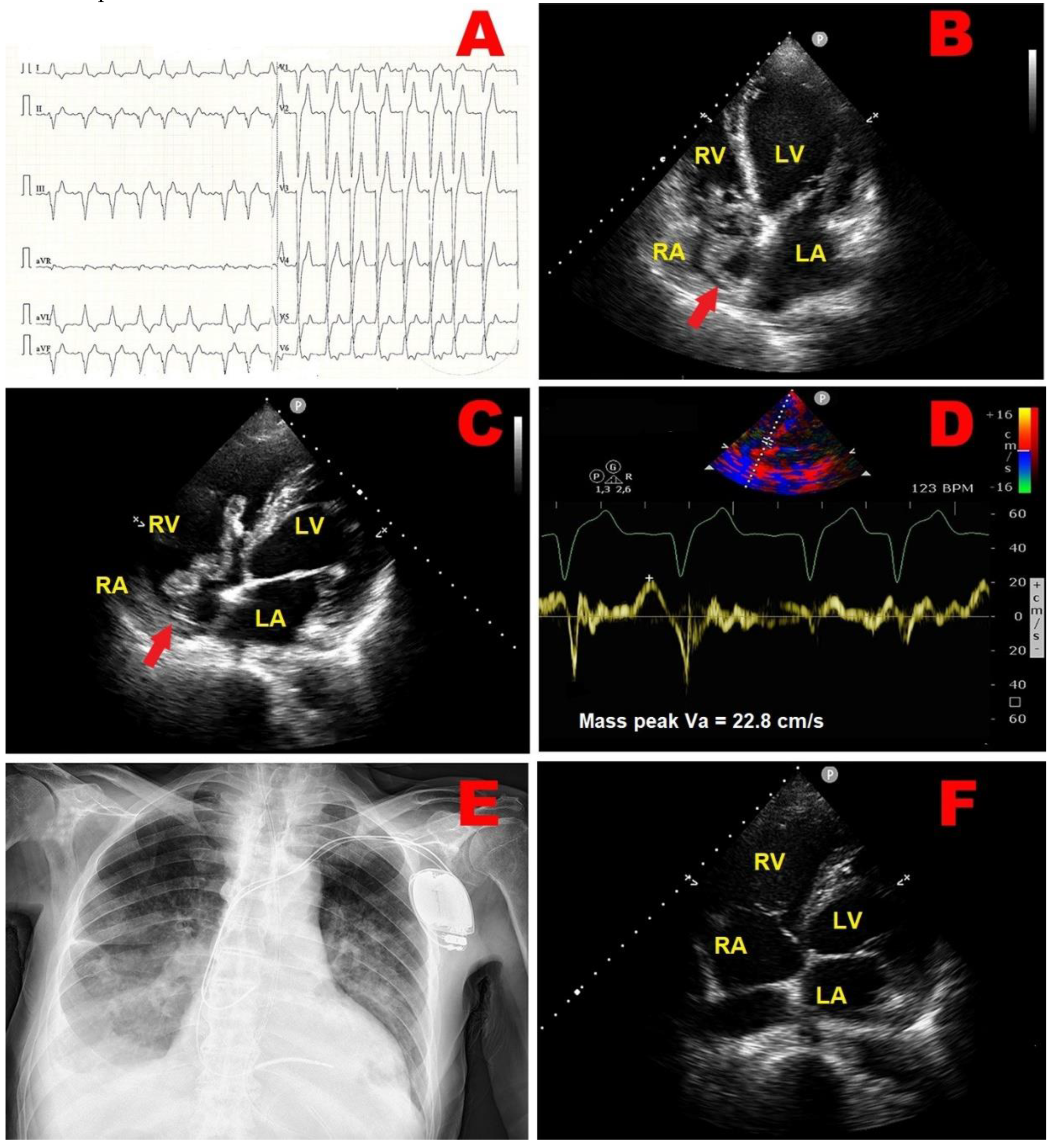 Preprints 143362 g001