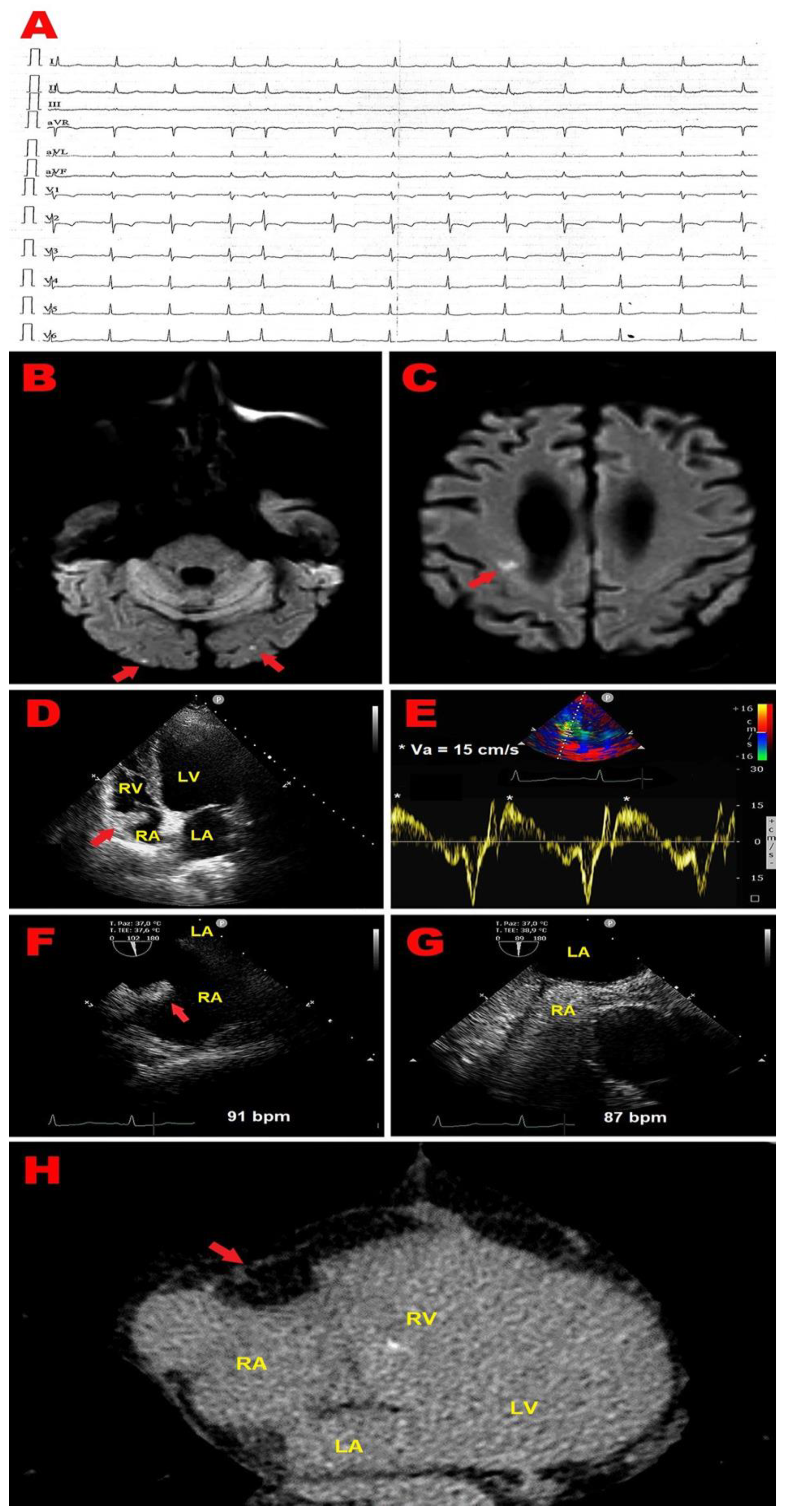 Preprints 143362 g002