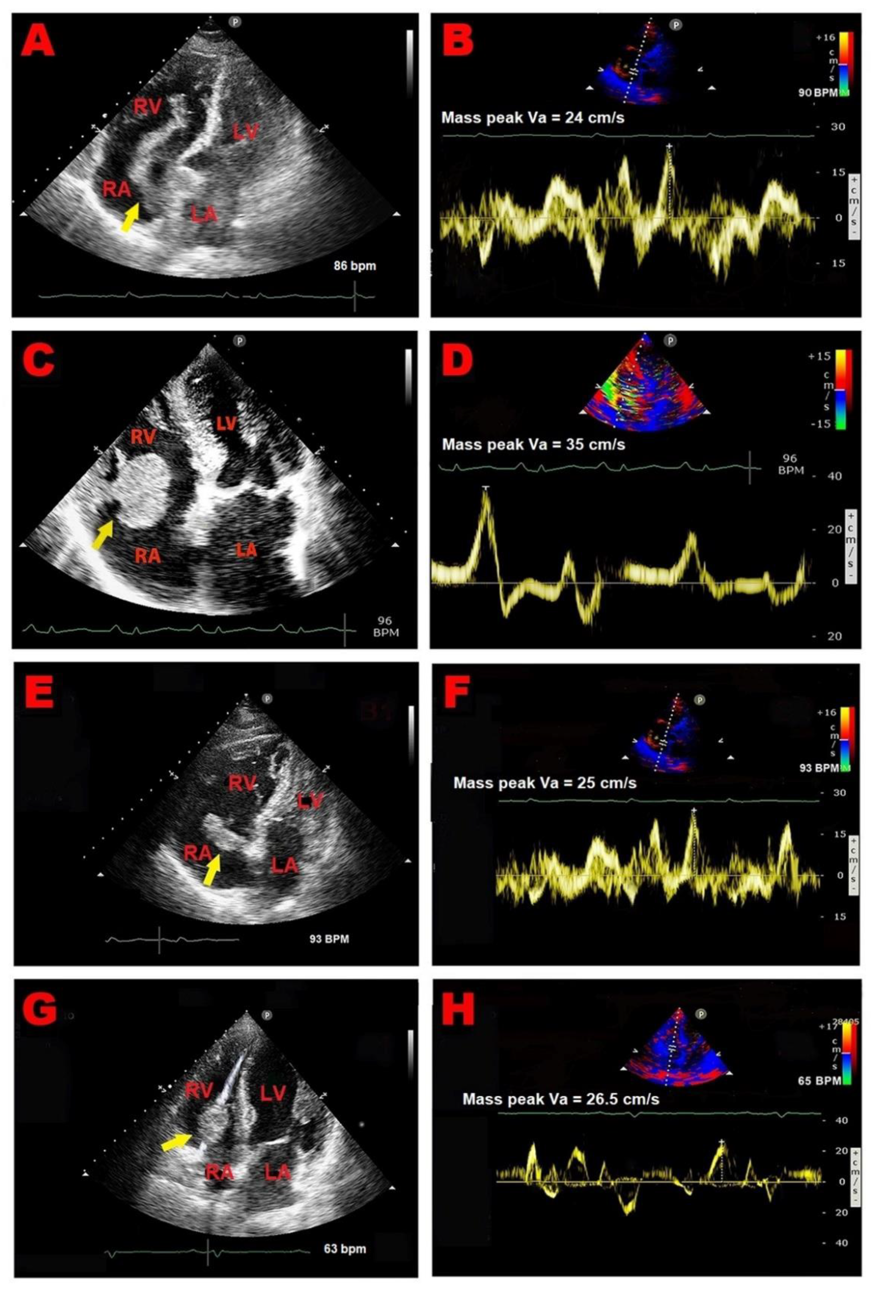 Preprints 143362 g003