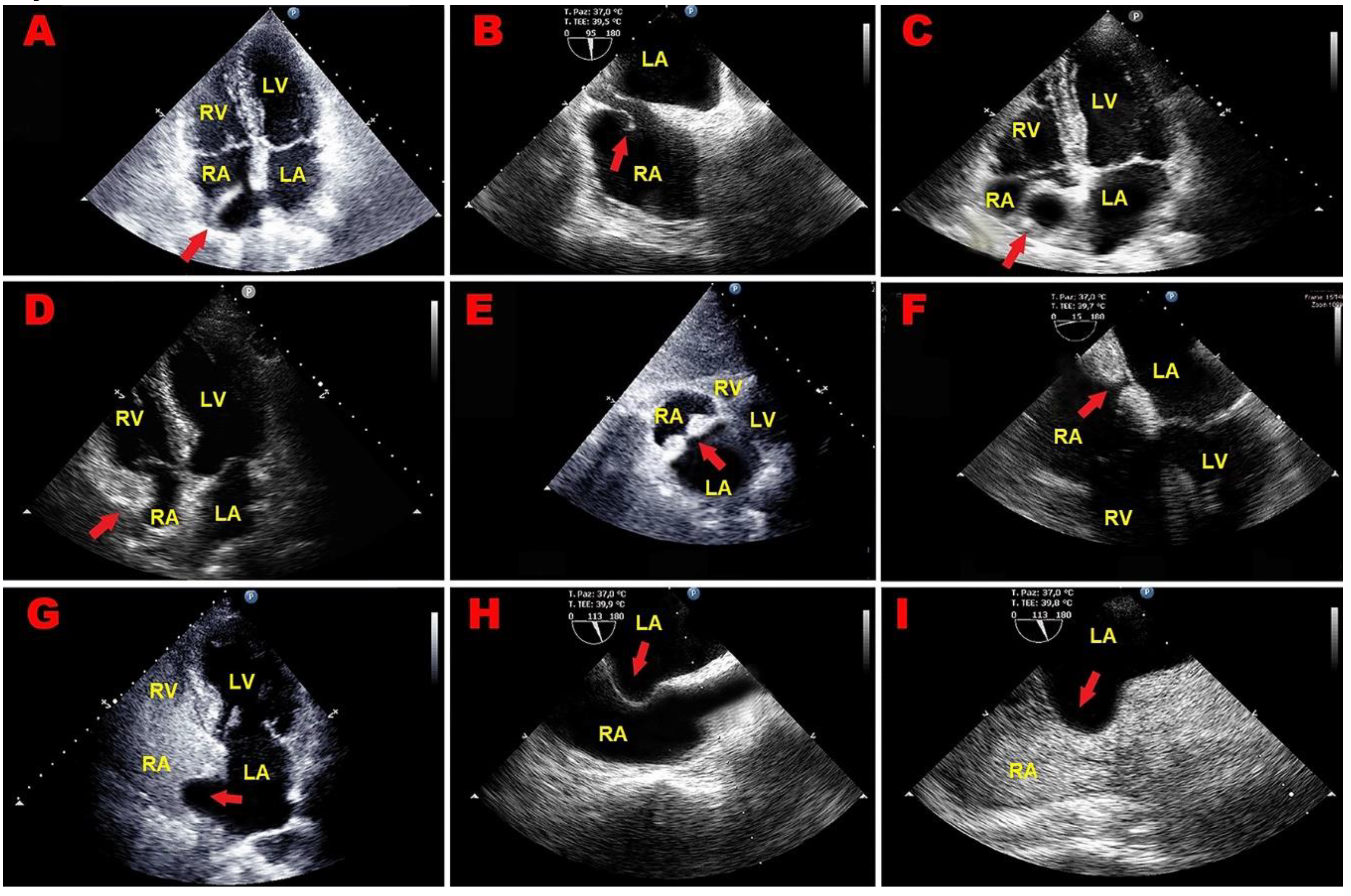 Preprints 143362 g004