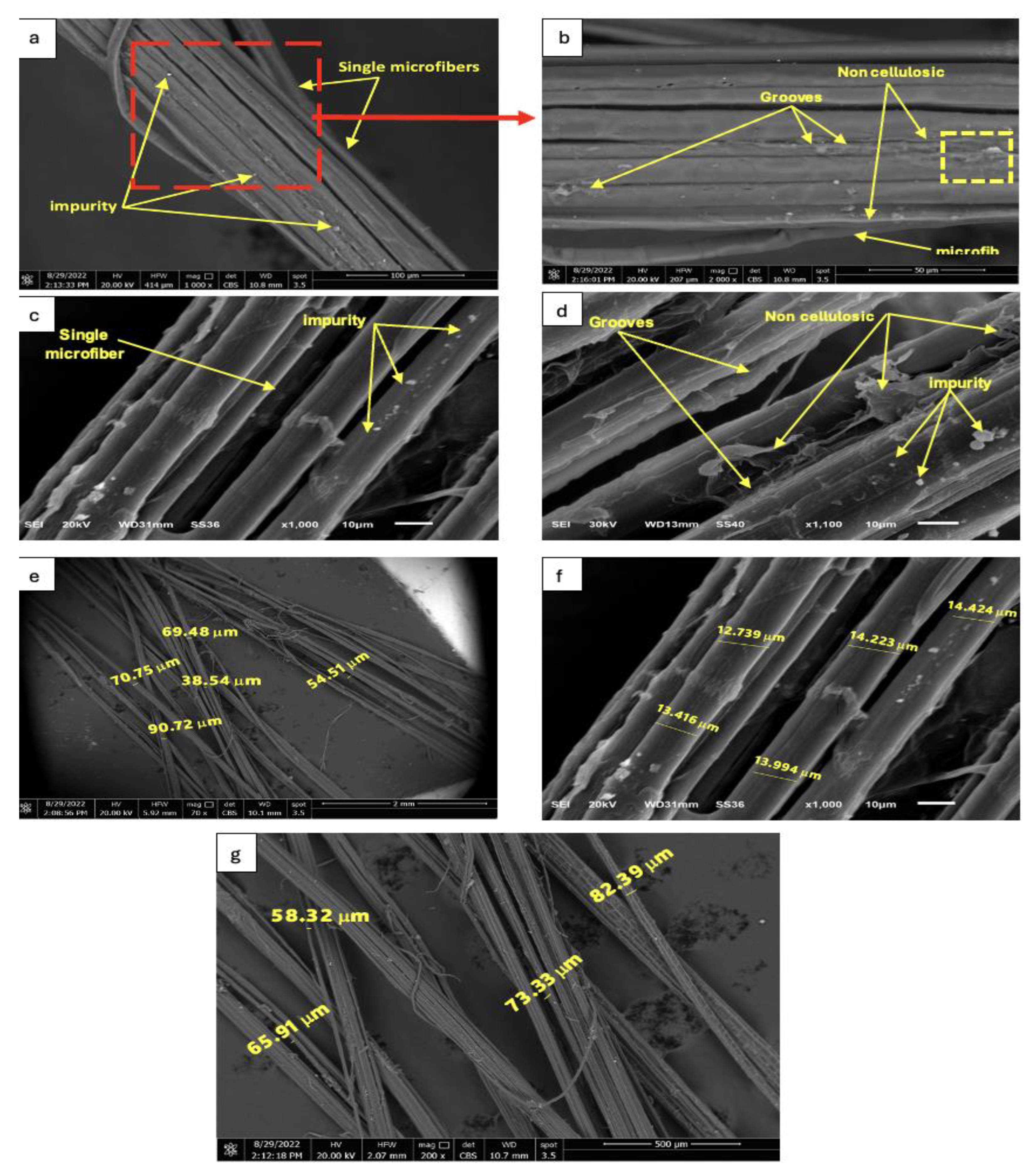 Preprints 210012 g007 Preprints 210012 g007